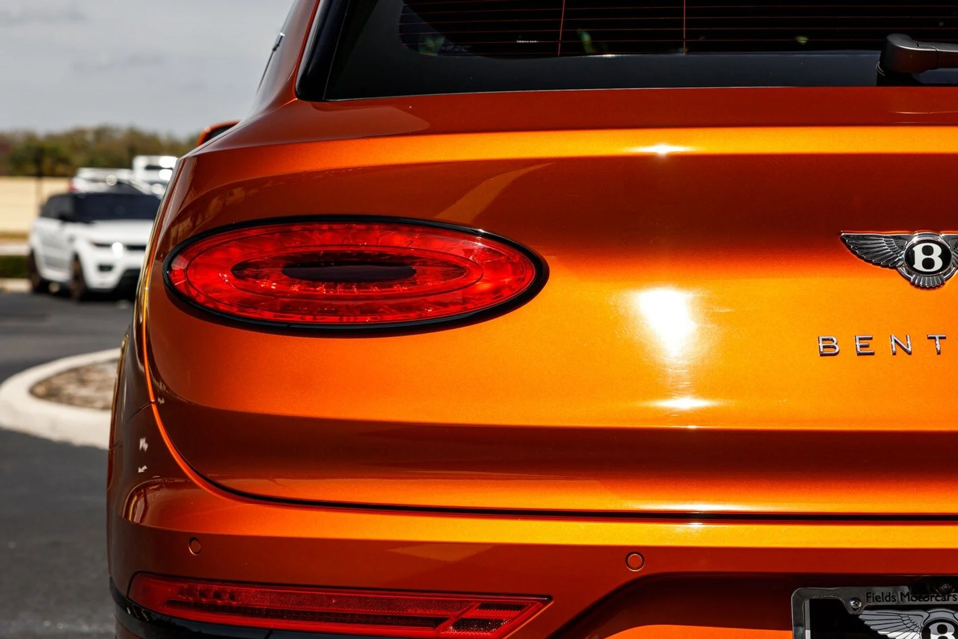 mph014_1290713307_63ab13d5bd00d66bb1157bbb6bdca227x_33e40875ce