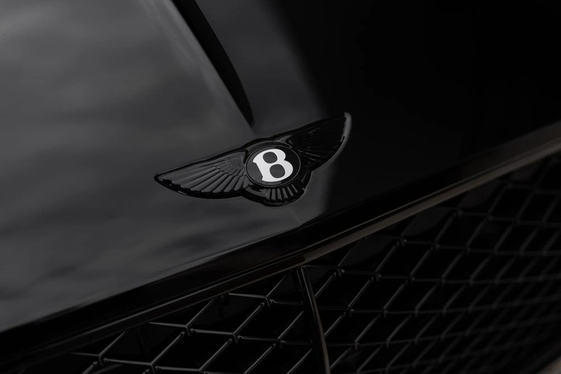 mph014_131725141_fa542f3729c616bf8f523219421d49a7x_c18c2afeb6