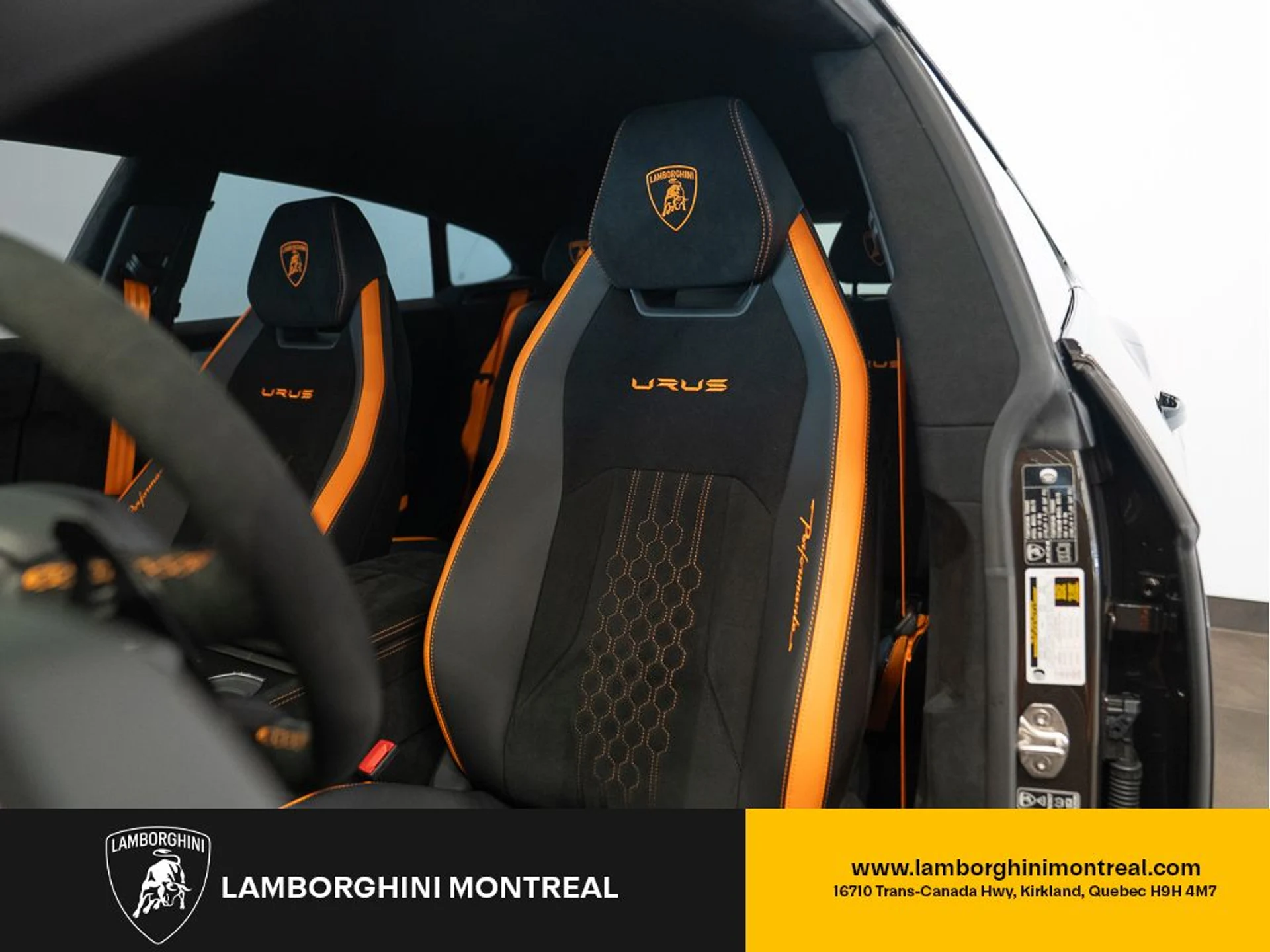 mph014_1345283379_jpg_v_1772496892_e7db296142