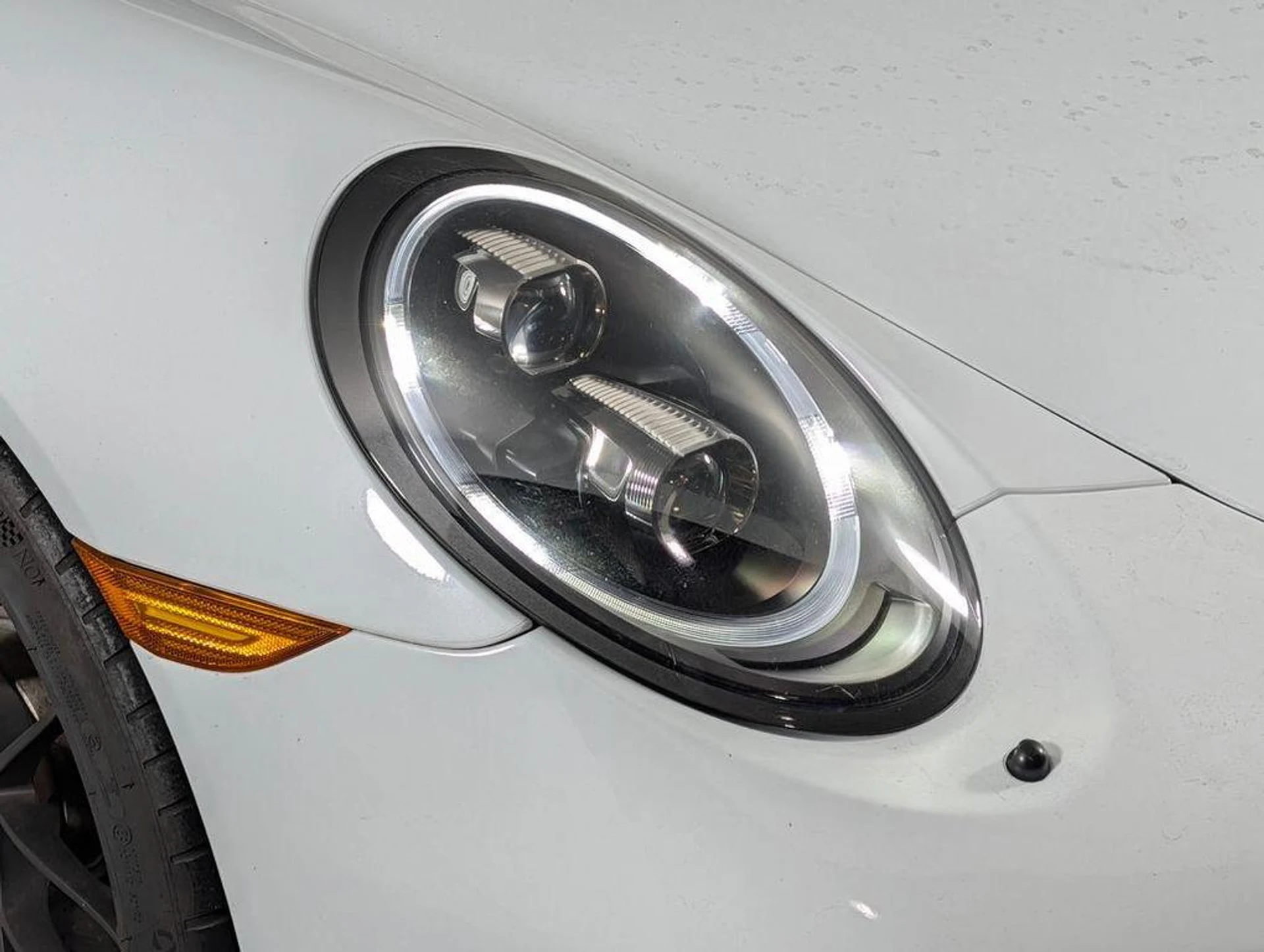 mph014_1467199532_X9_B_Ntnvm4gwsm8_Tl21t_WR_4_Mfv_Q_8a9abc532e