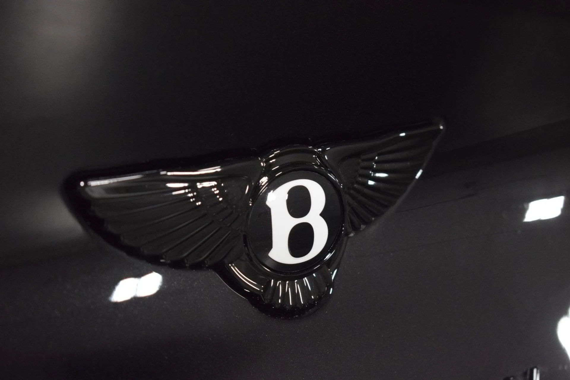 mph014_14840121_342f5c0ee231ac0fa07a3fdb851c59f2x_a5c8fb7d5e