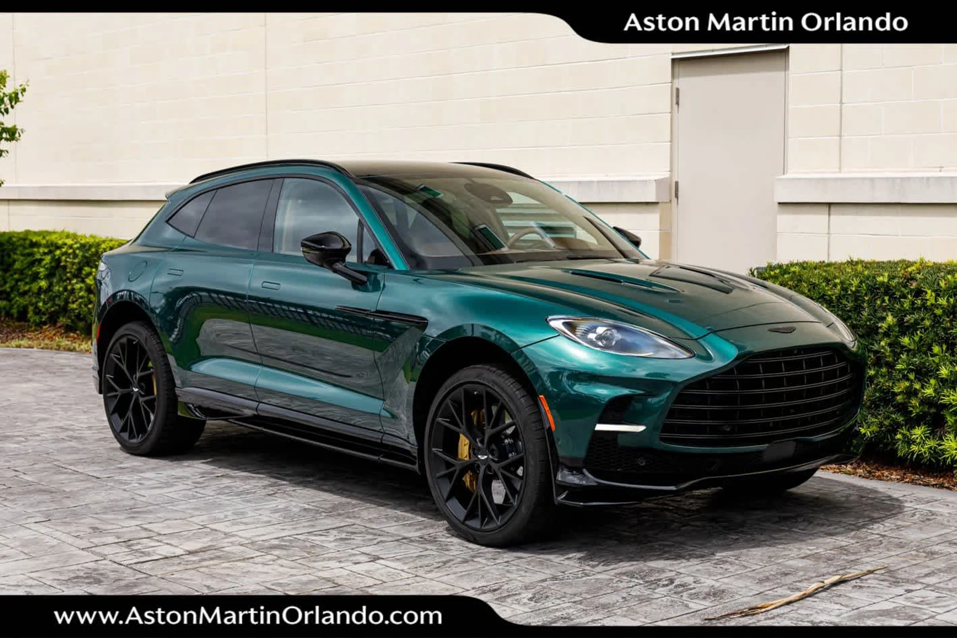 mph014_1530404533_15_eec87e4c34