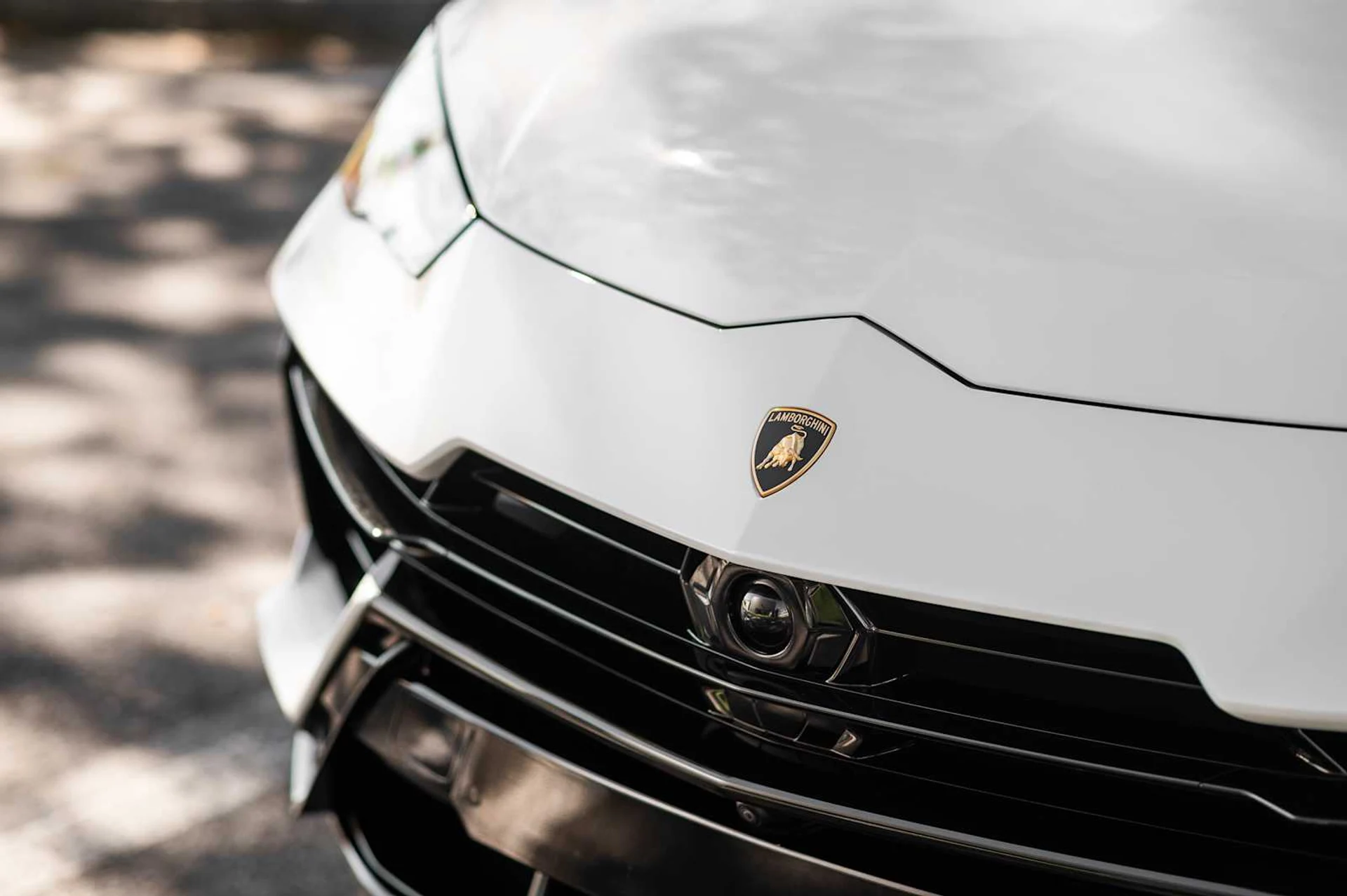 mph014_1590590059_ed30835a878c6319d75cc524f3c121ffx_31462a273e