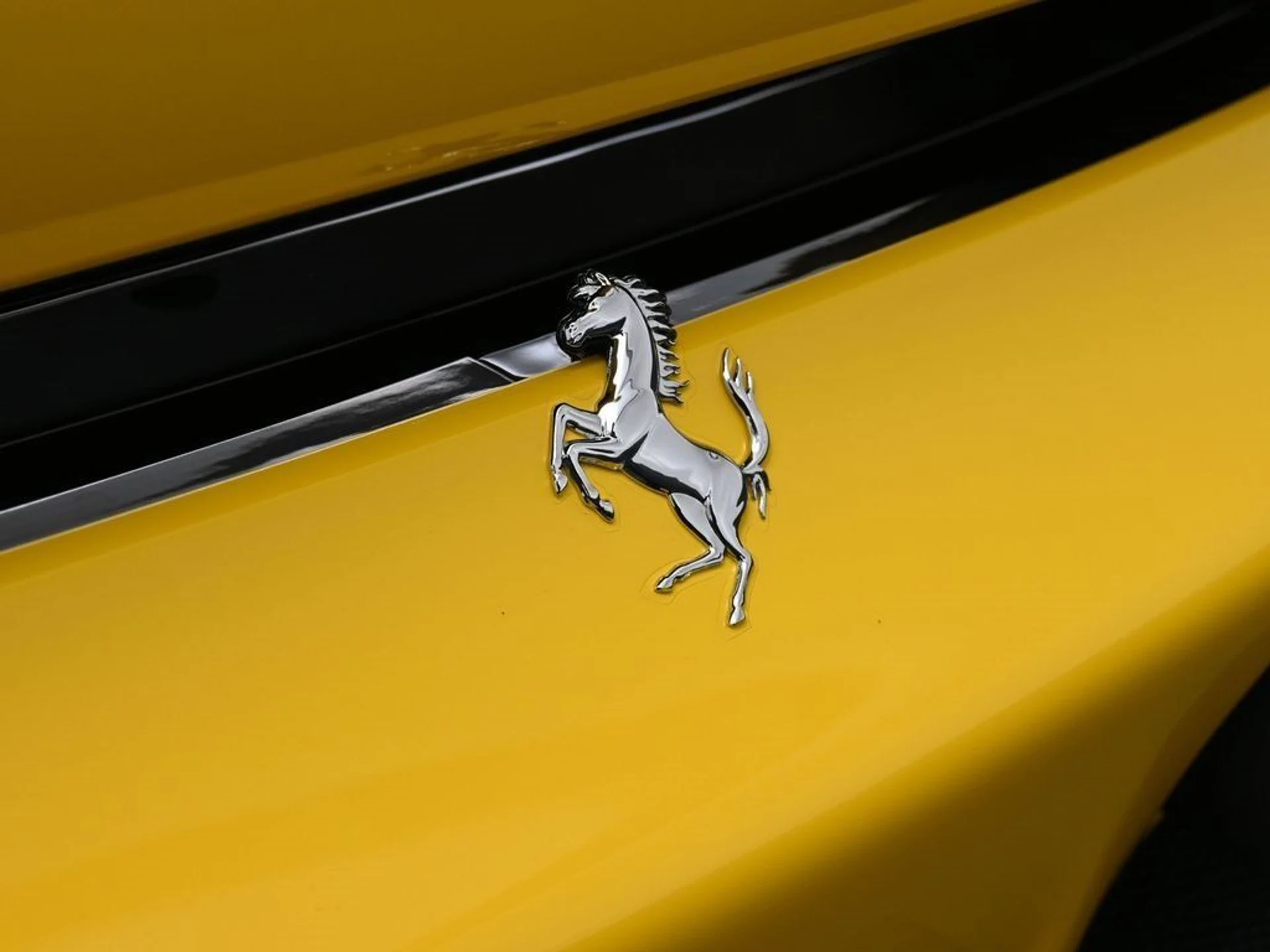 mph014_1778705399_ca47c47db109c5266d1536e13cbf3ebe_509339091c