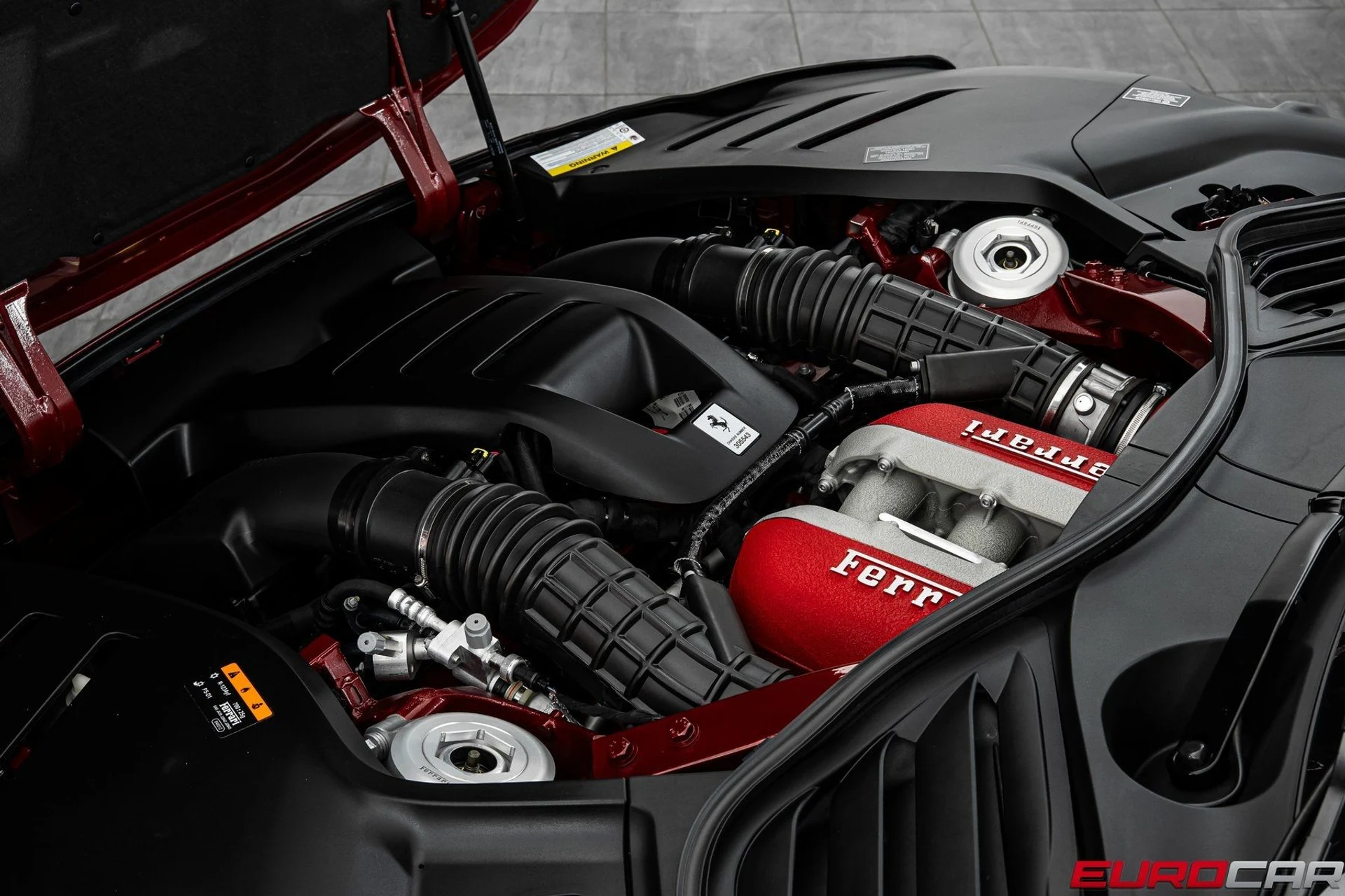 mph014_1823167556_image_15_1283cfe53b