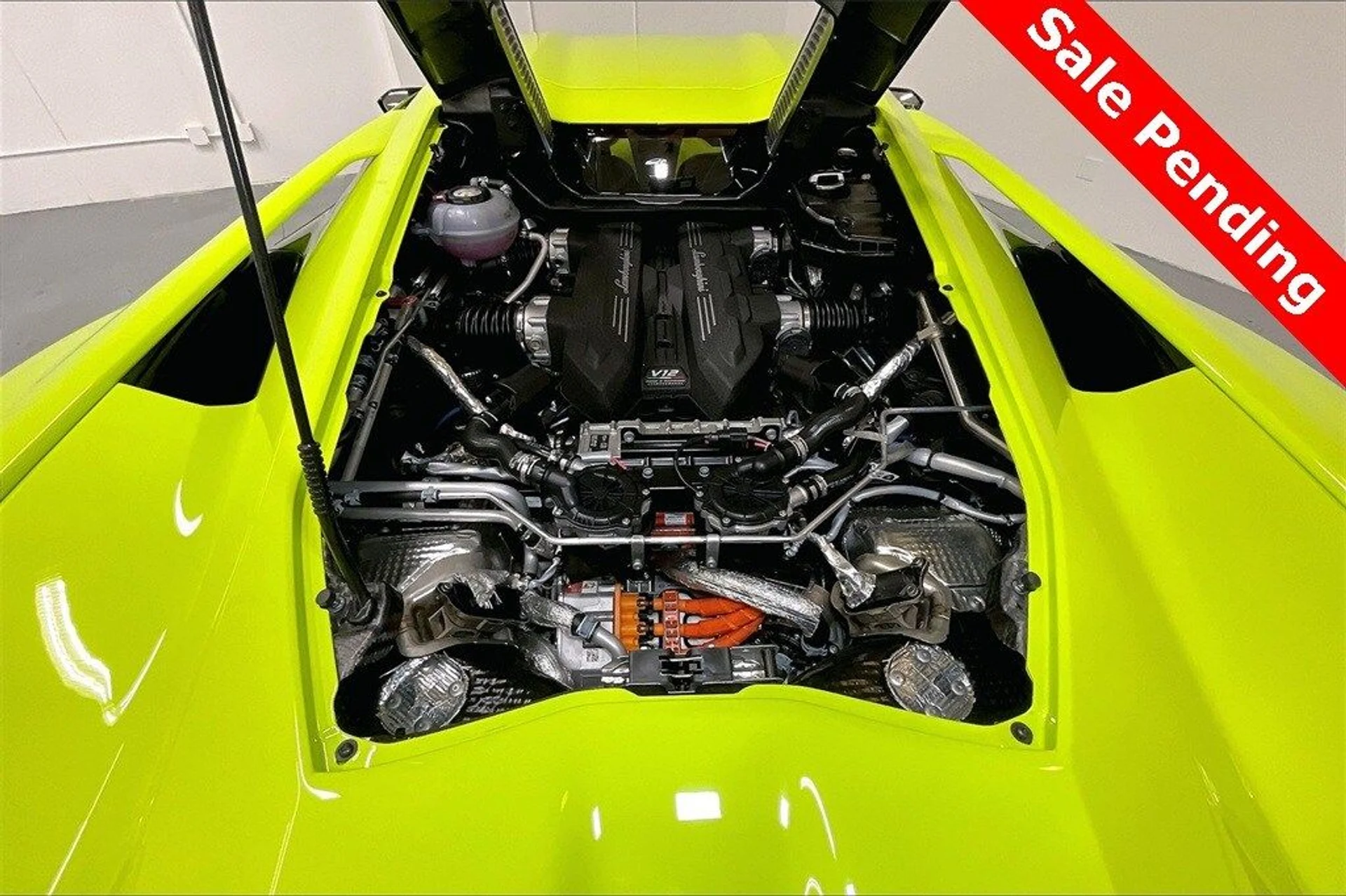 mph014_204080917_0dc2df0d4856470e7ad3838effd8f16fx_491b7d7766