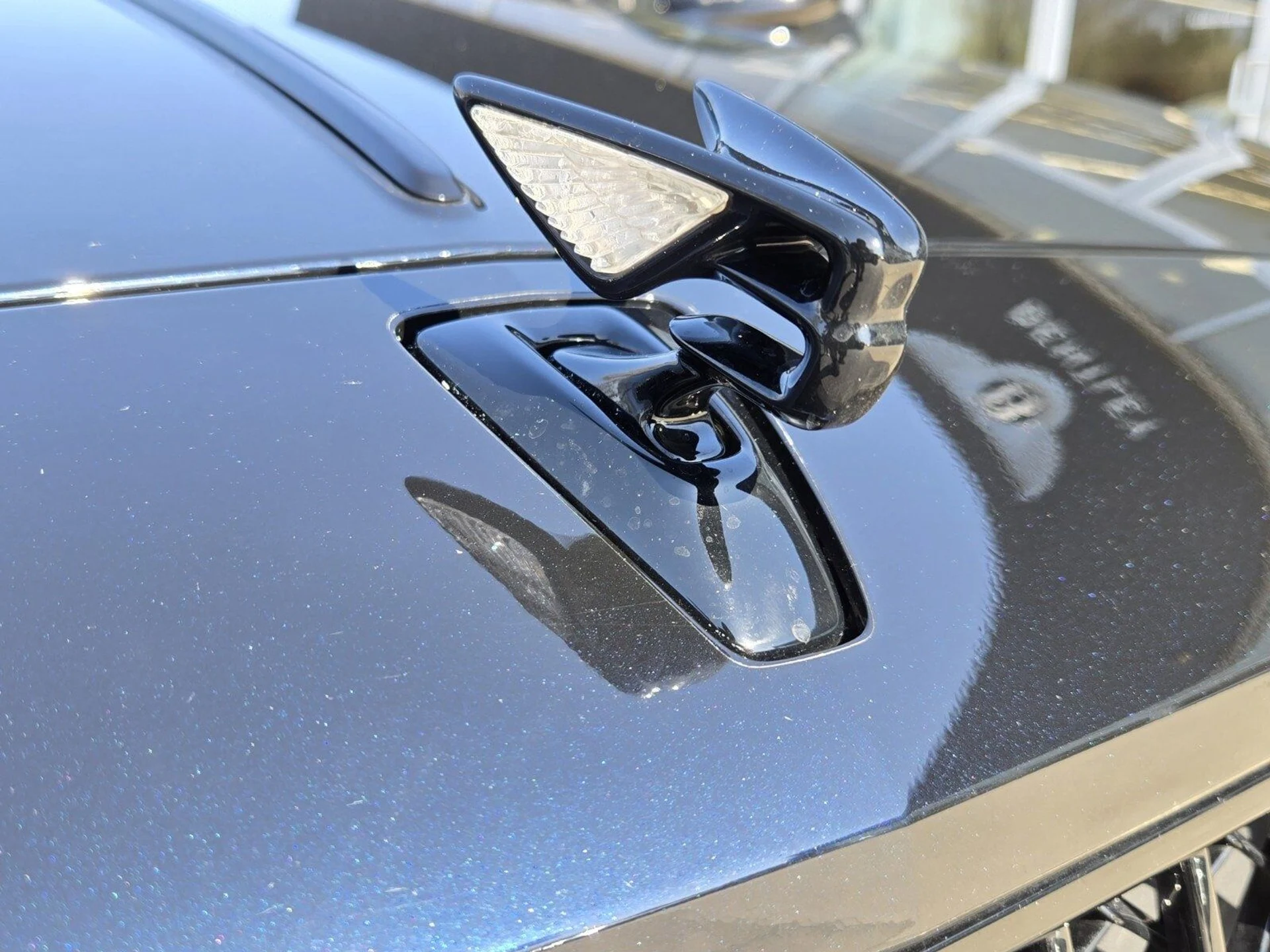 mph014_2157716826_fe3e16e0dbf8485bd166891417615907x_1a82eabfe9