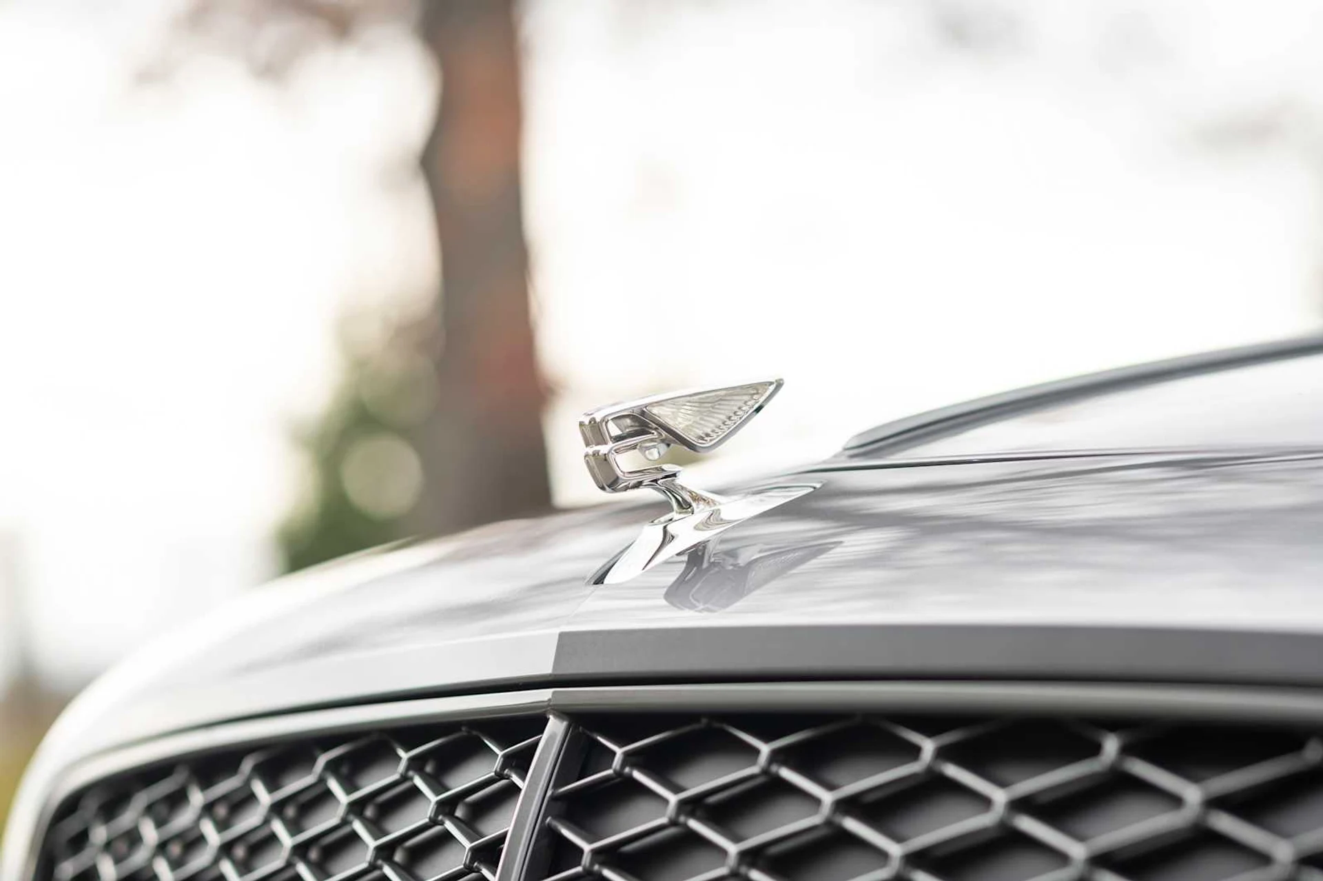 mph014_2245815490_bc3236a87170fdf31fd7149181d2a039x_8fb5dd994f