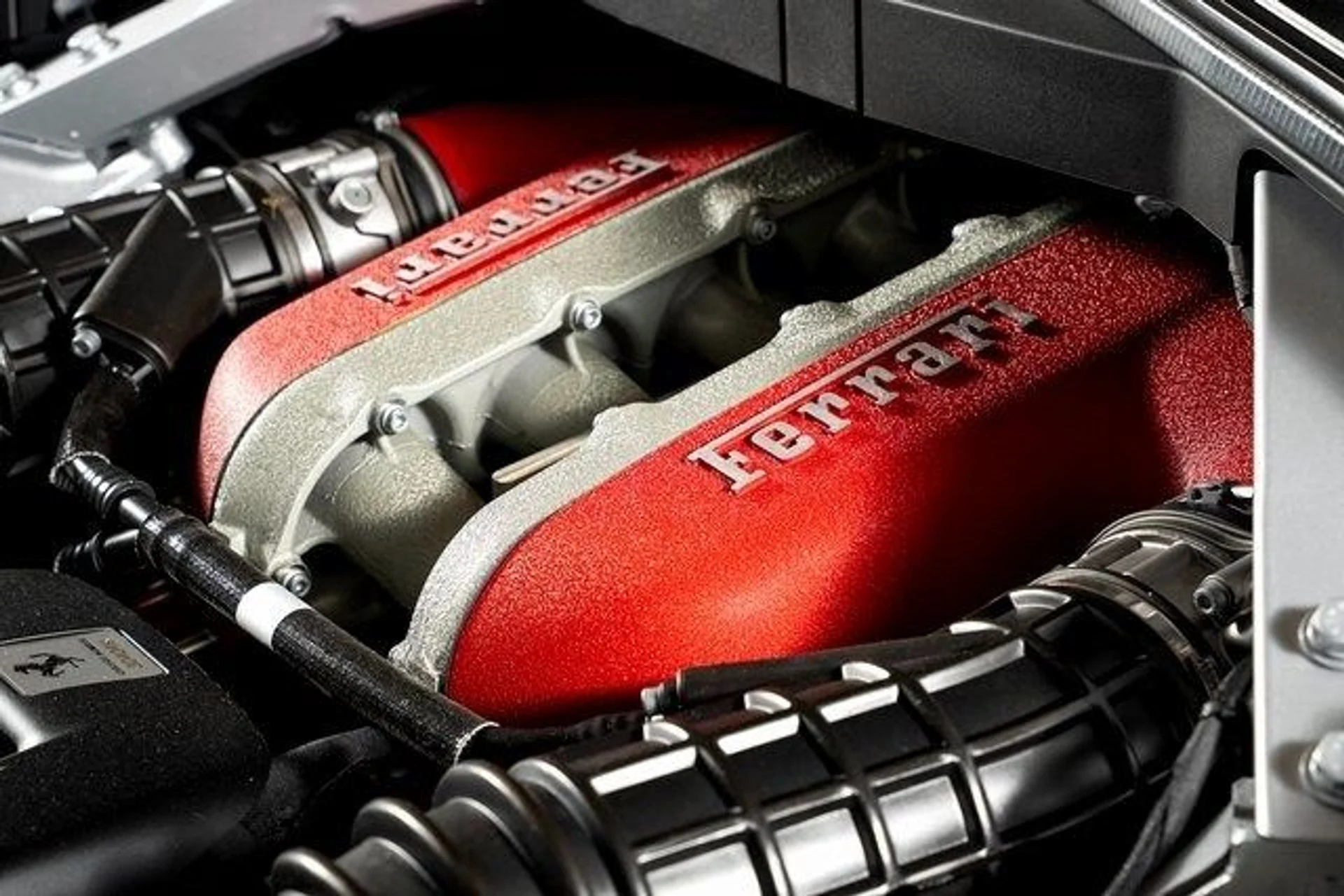 mph014_2285800925_81fbd5e3ee79e8a94e15a2a874664e05x_1144066c2f