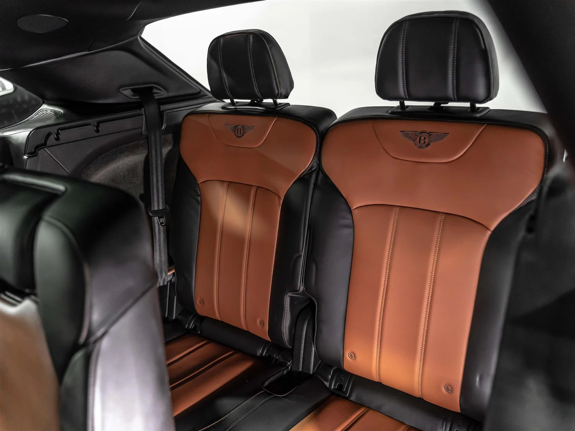 mph014_2329719731_5874de2c_198d_43d1_8045_59c878d9e662_b67a245df4