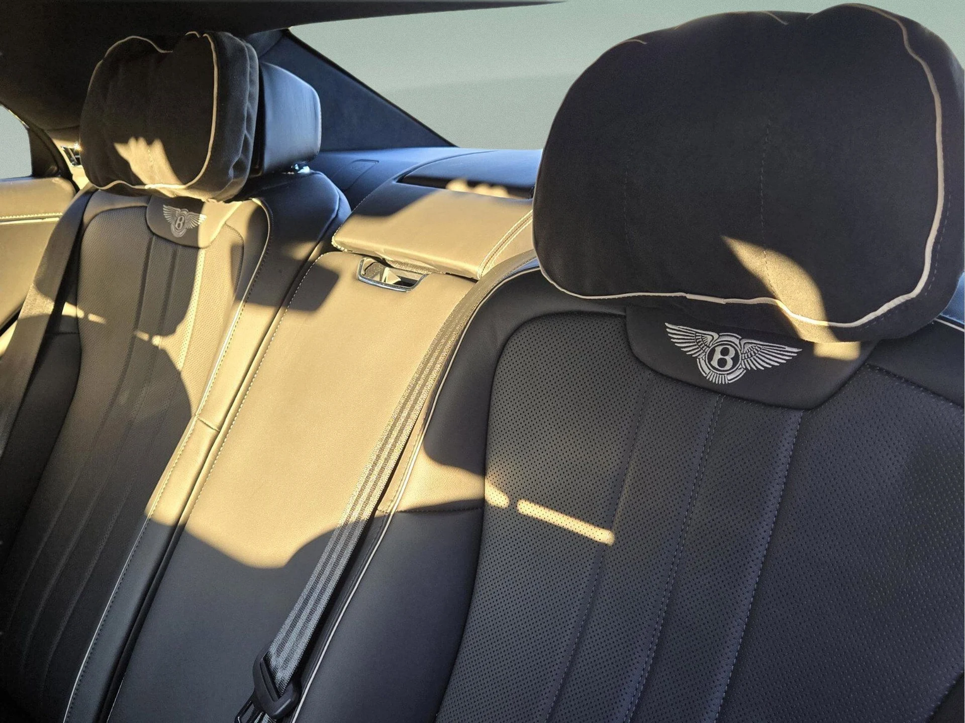 mph014_2405559205_ece095af4eaa2c6187619ee562a80a11x_704e548bf7