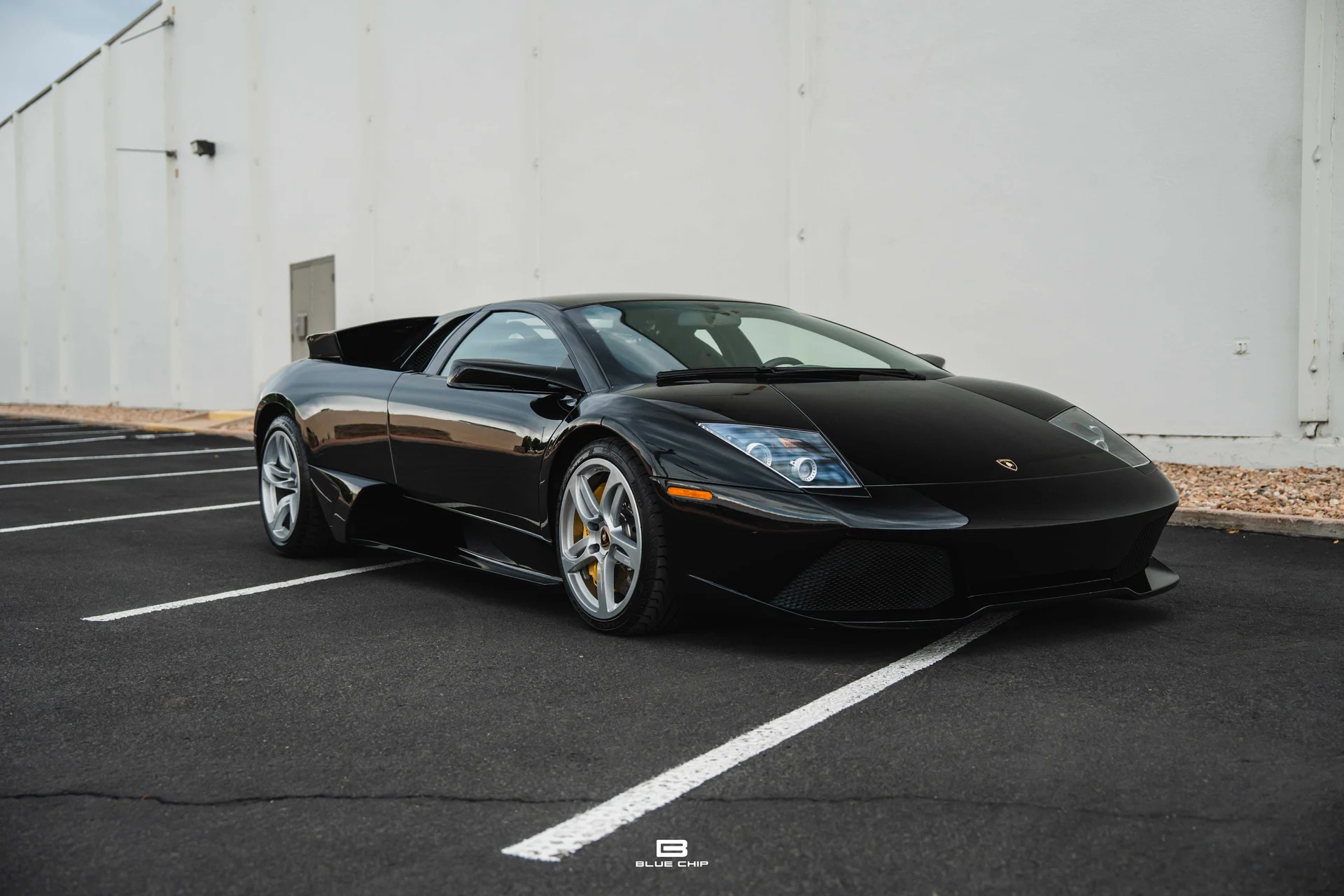 mph014_2448827252_689383e6b1a2bd7604e6e703_DSC_00653_35eb6946e0