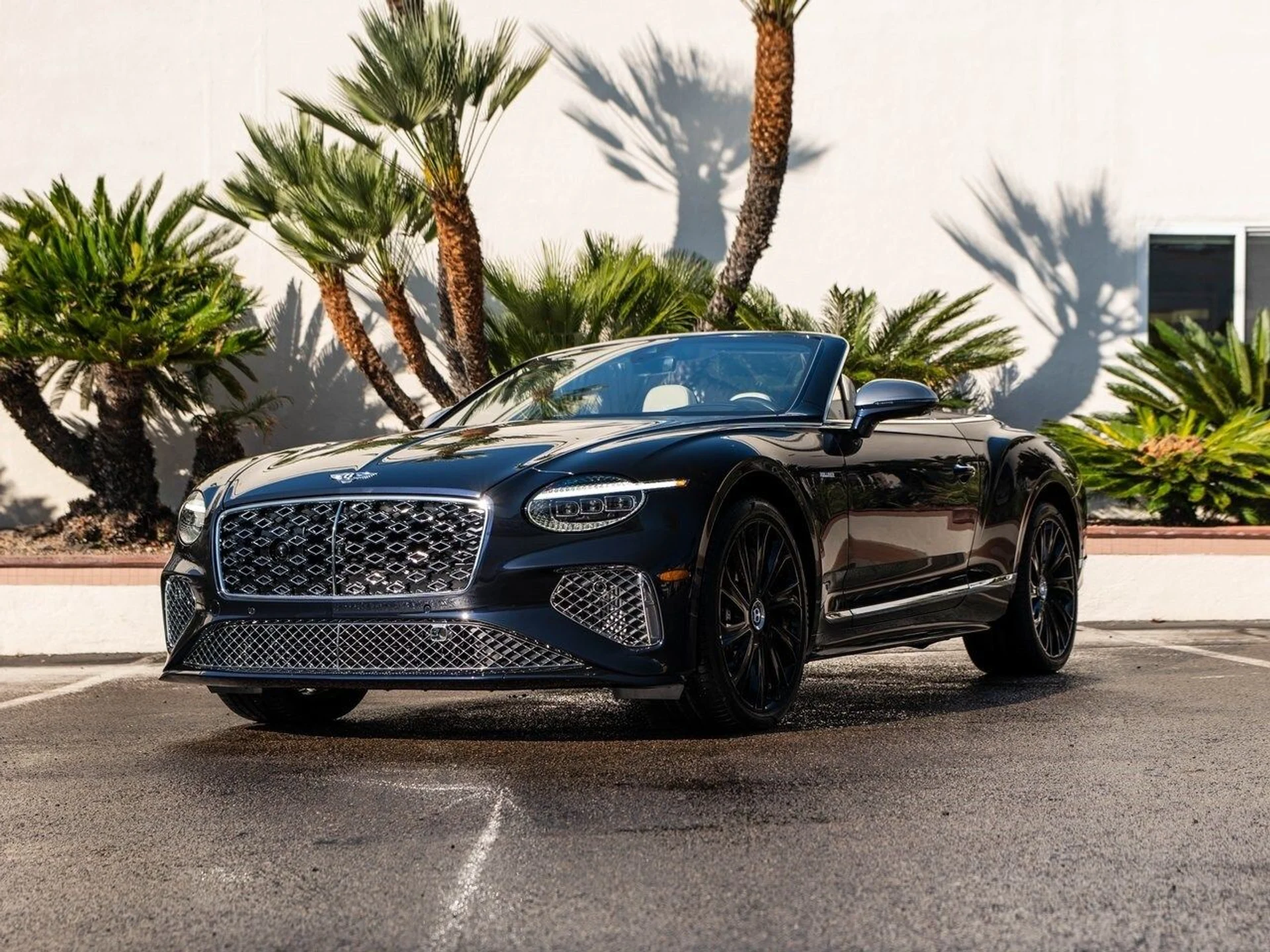 mph014_2618451001_290fff37a663353dbbd64fda06d97edbx_34c76845ee