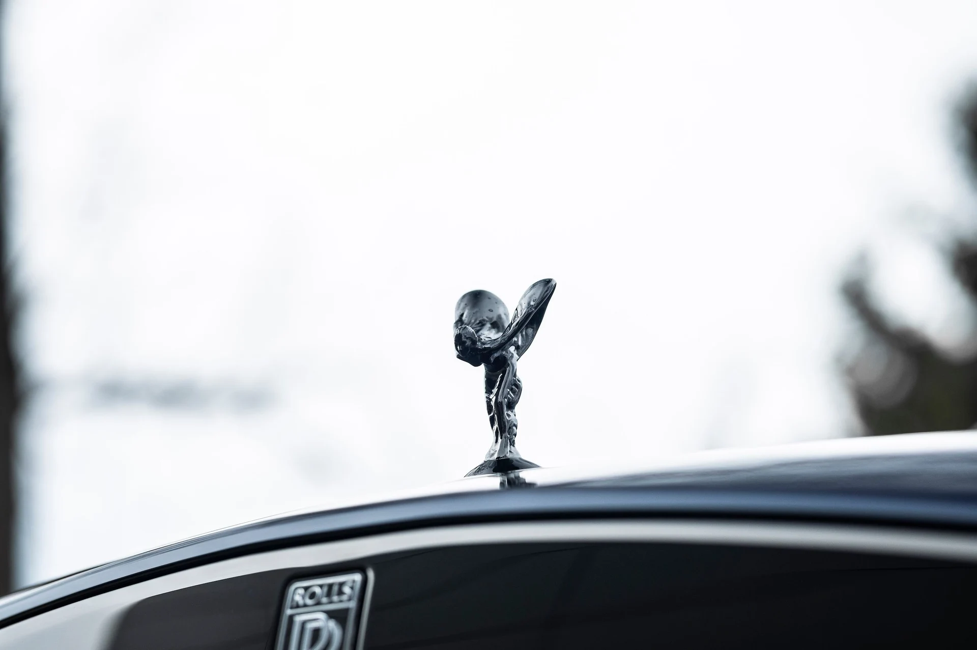 mph014_2669492478_361dc77a71cd4a66b2d09577c8e410be_977aa7e58d