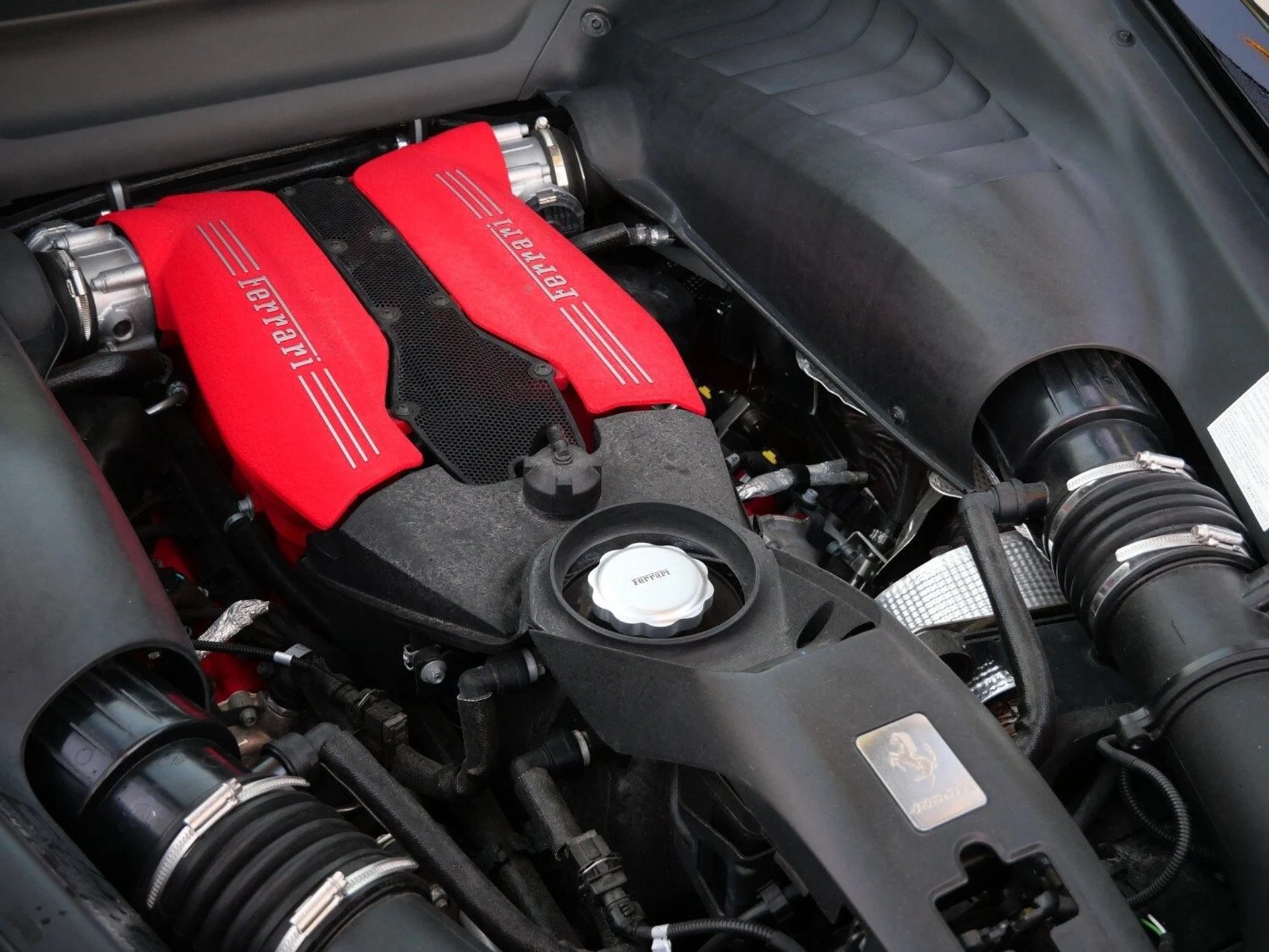 mph014_2669833695_cf878031ae665df51dc1816ac48dc9e8x_6299f79708