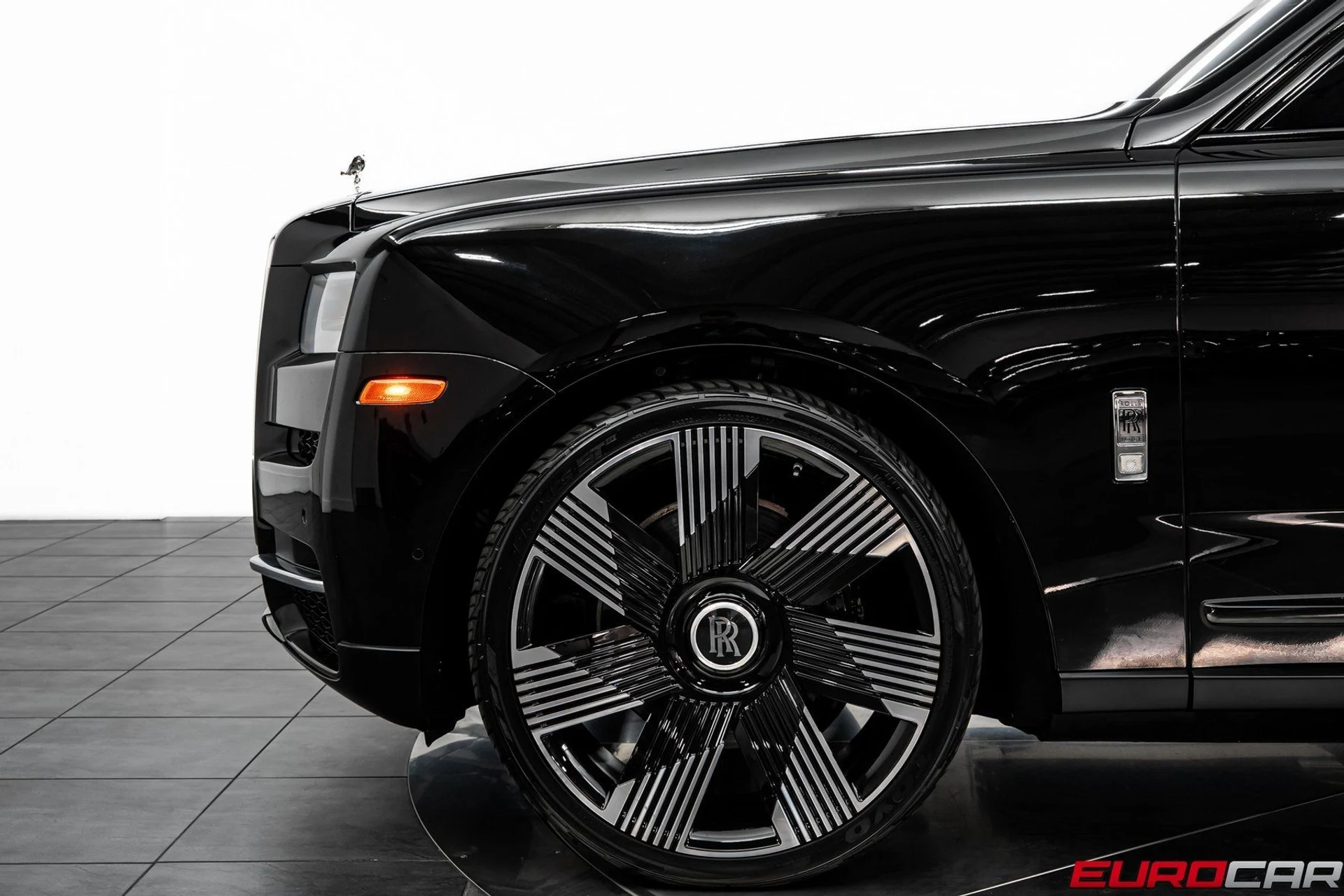 mph014_2827899789_image_15_d60233c462