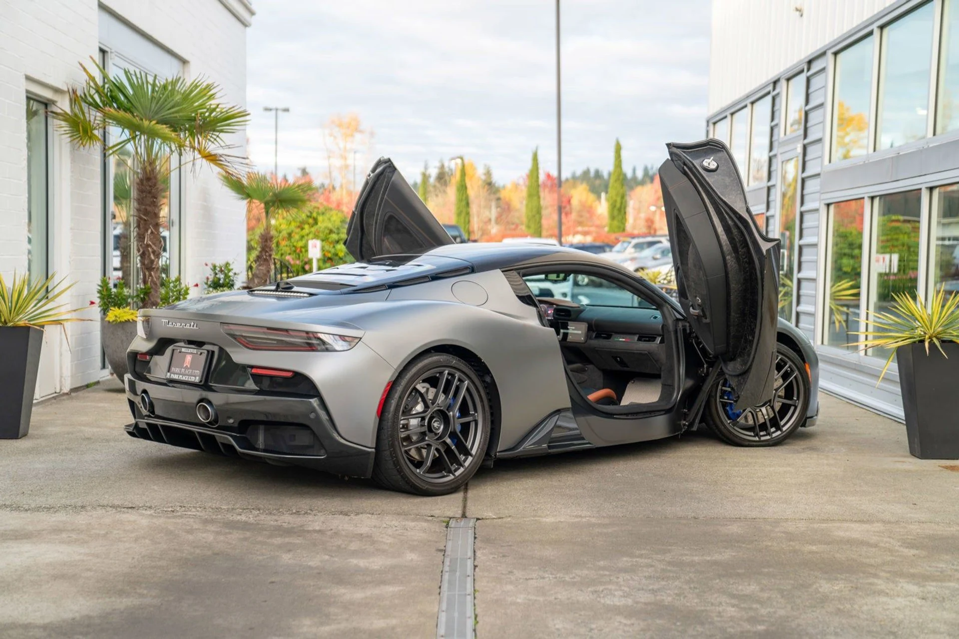 mph014_2996253631_15_9190ea94d8