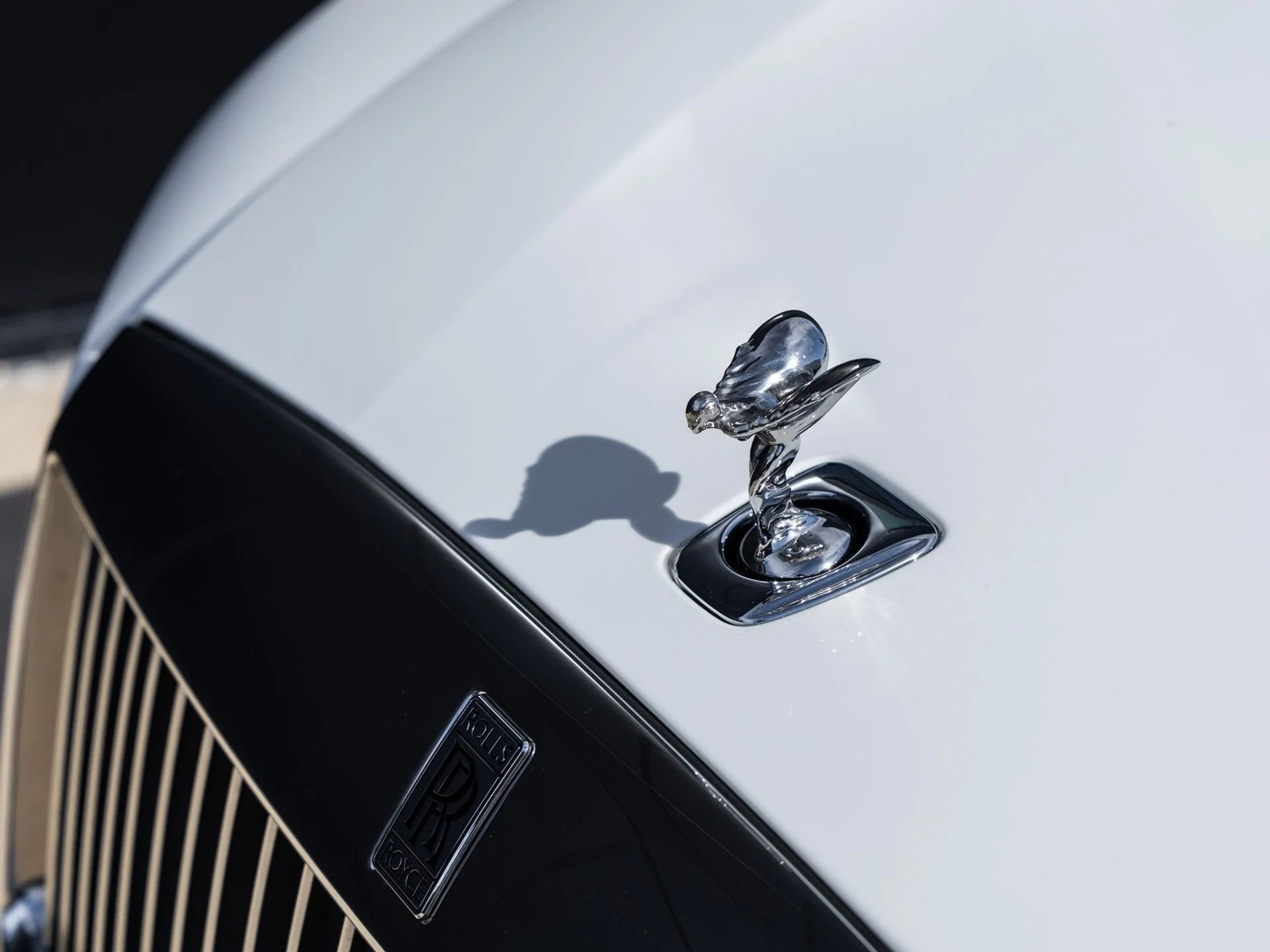 mph014_3046044132_15_e8a0b3fdfe