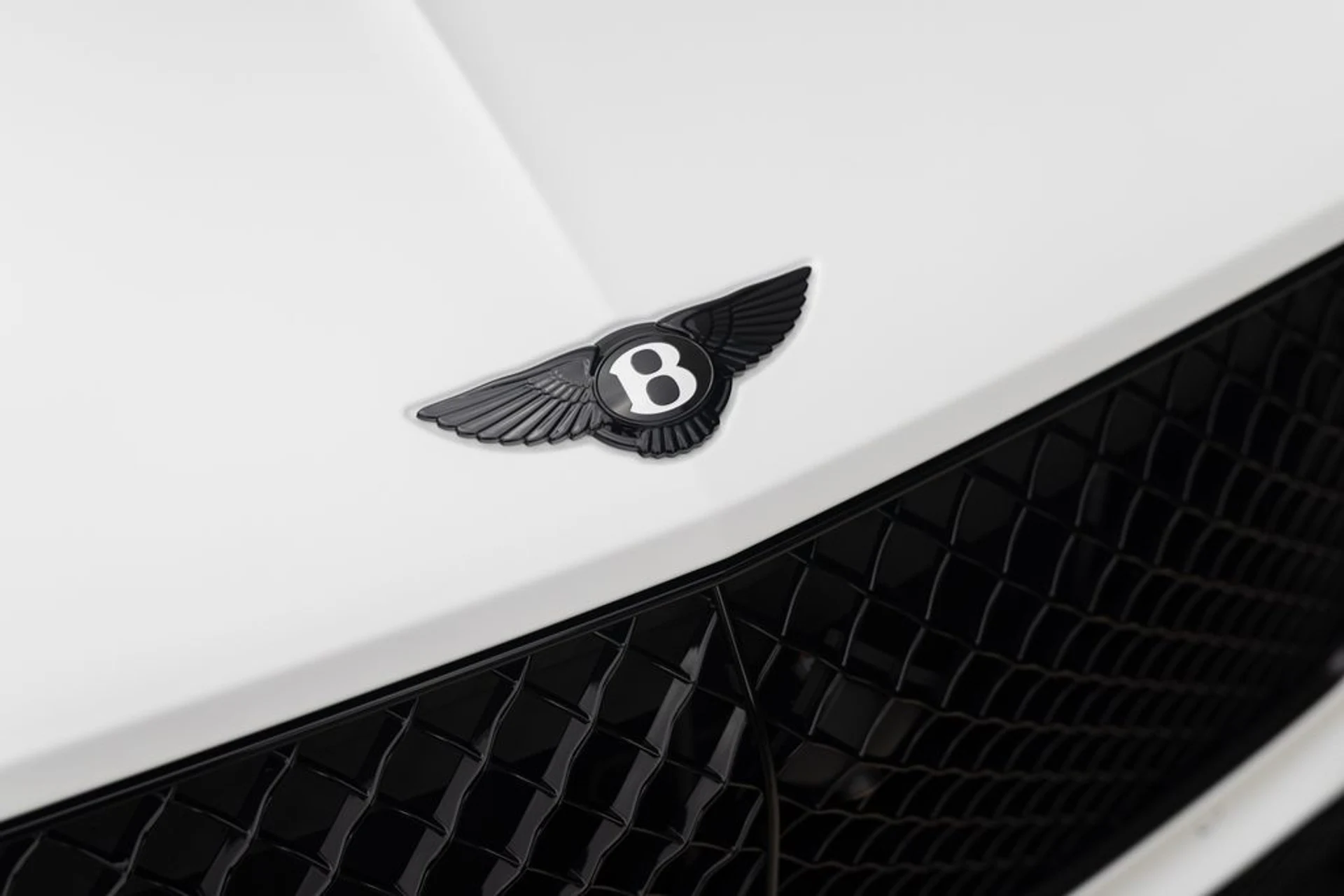 mph014_3223603854_db8b8af5505260fea304090b375057b4x_933caebbdc