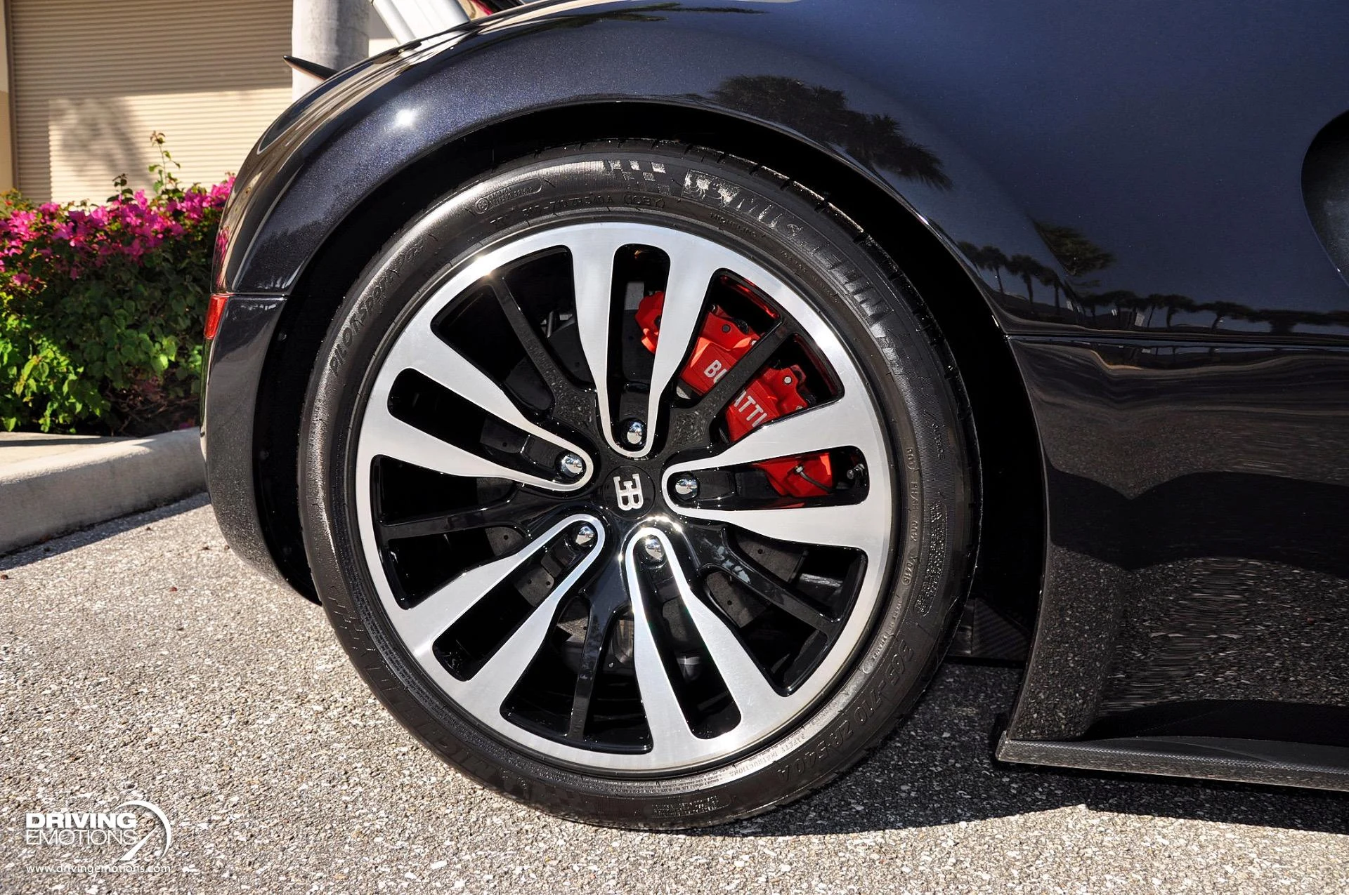 mph014_325805229_479_p15_l_e250b60d71