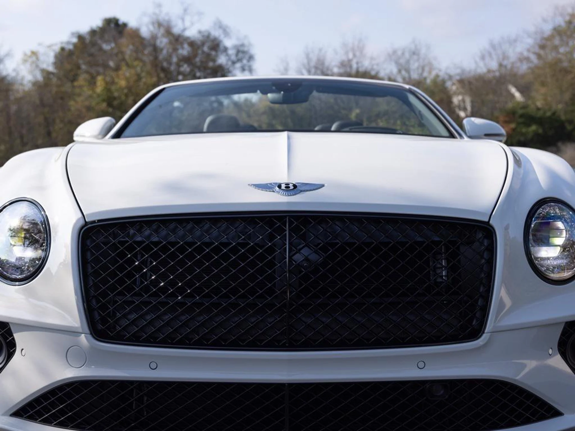 mph014_3341978057_478617943_692fc9c006717eb16b65ecb9_16bfe1164d