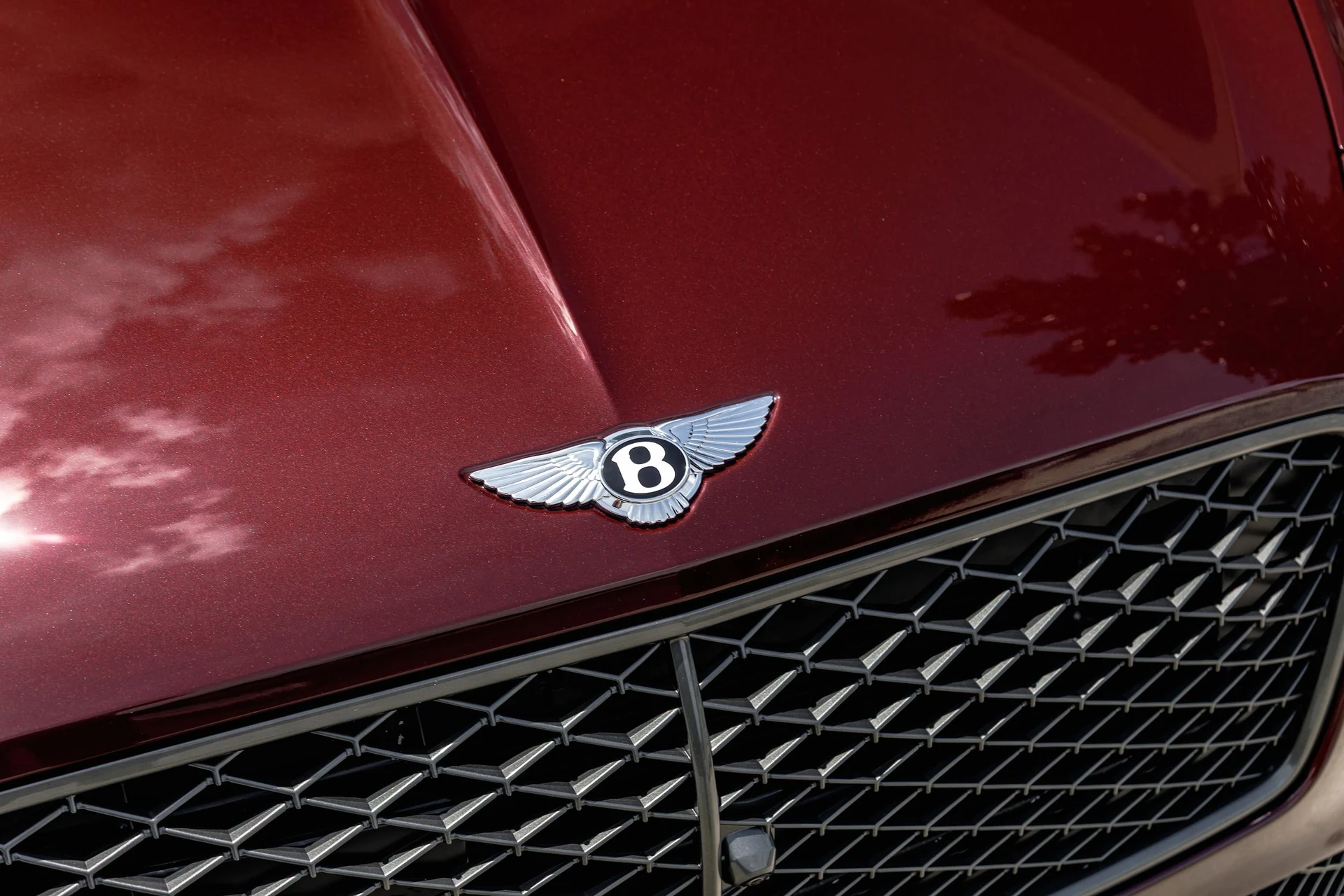 mph014_3351810577_722fe40c91bb3a9a1370cc0d3f7dc7ddx_c9bc7d1f2d