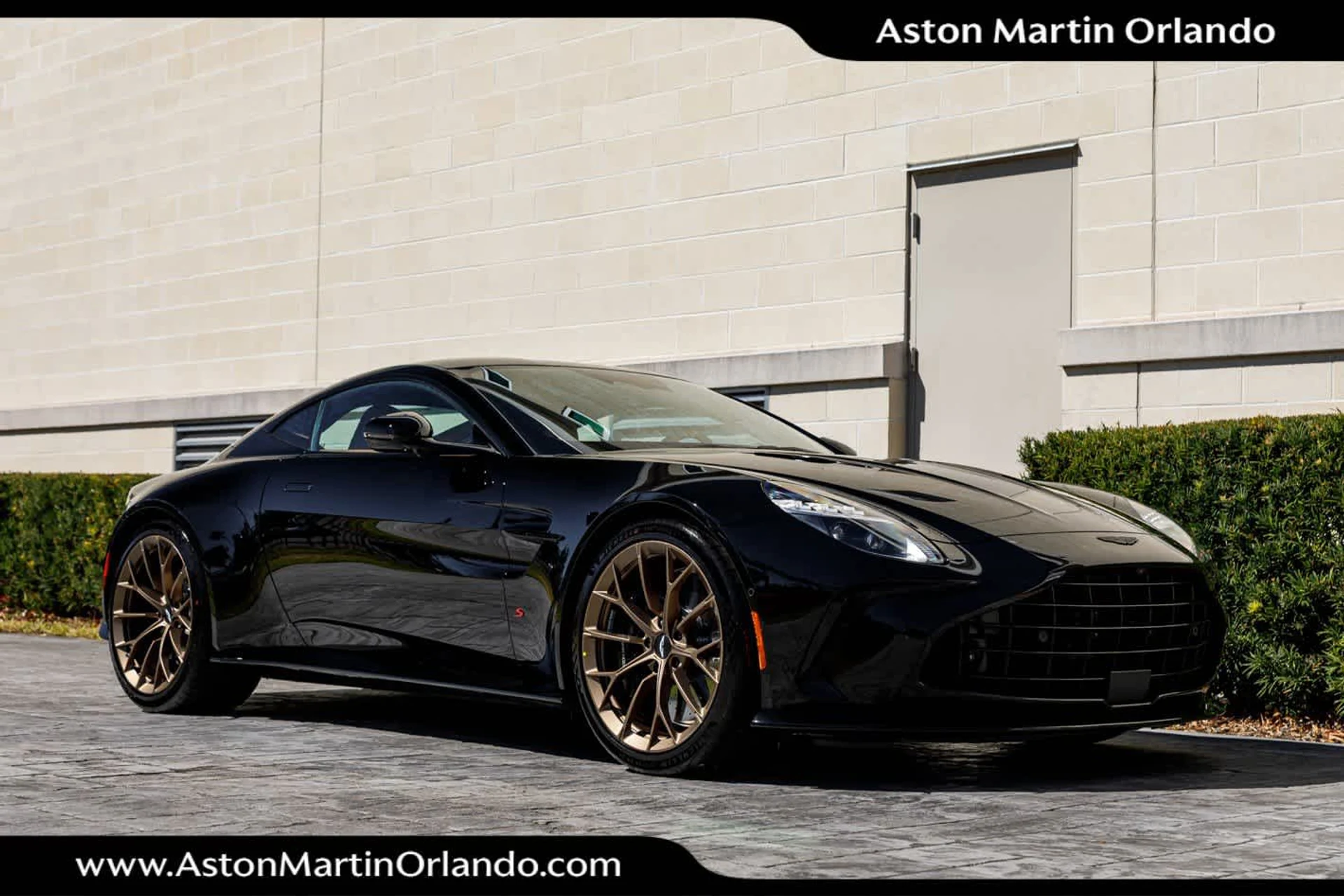 mph014_3393358868_15_619abd91ee