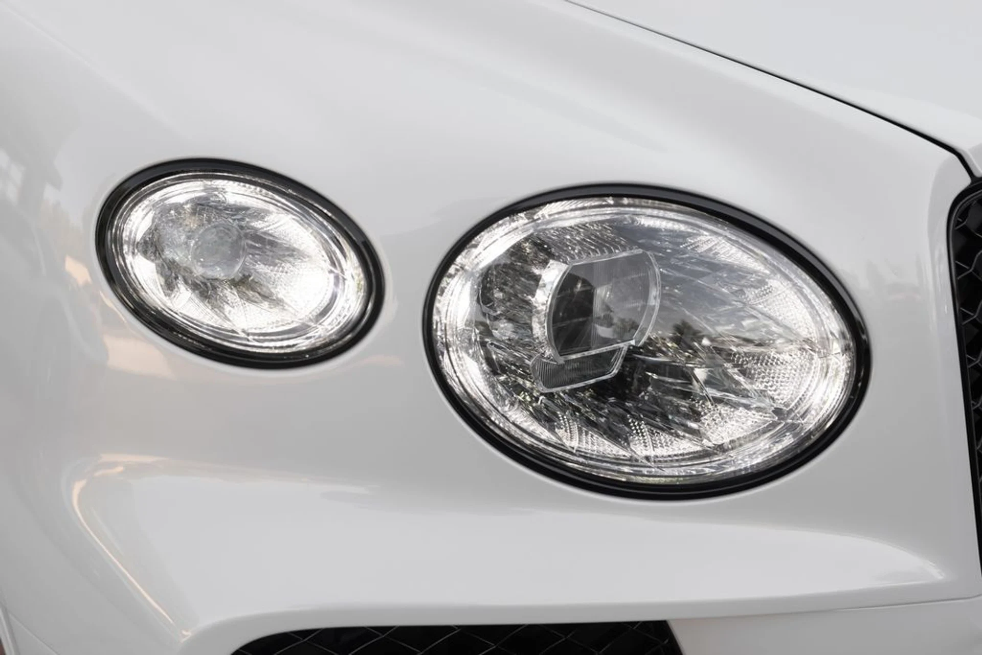 mph014_3478521783_1feb2513c62a58cc0d86399f567b5a84x_5434c5226b