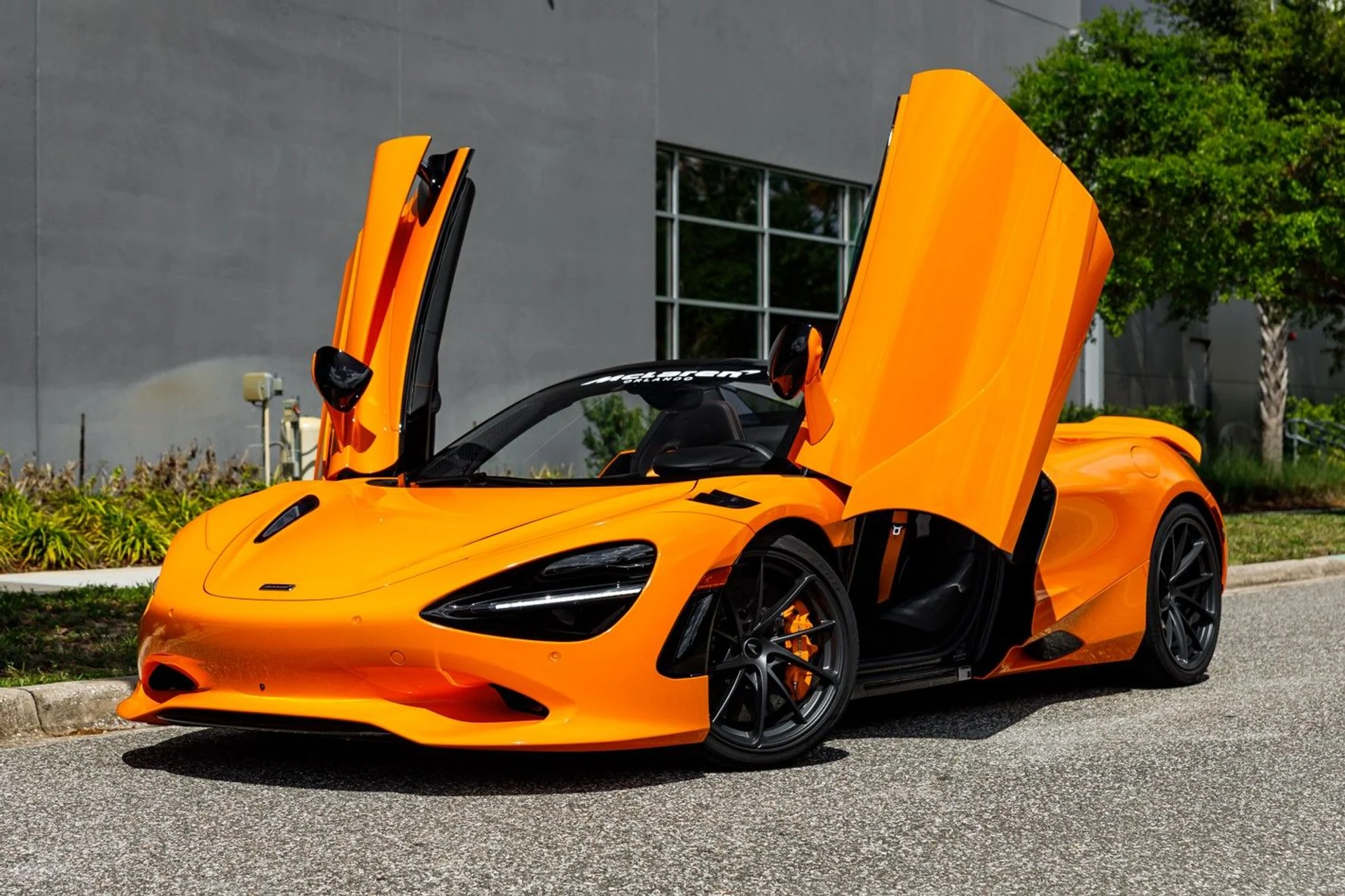 mph014_3496671379_515_p15_l_2eb6a93a54