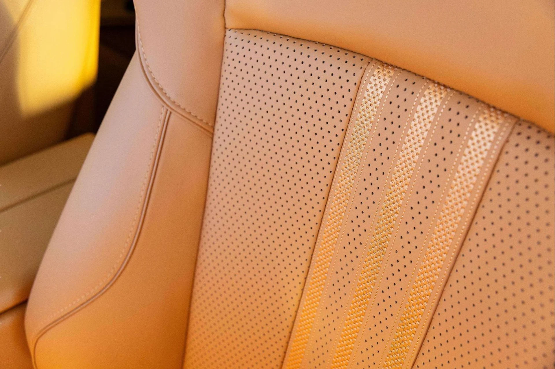 mph014_3548435979_b03210d1_384e_4977_b14a_c3605c9d297d_6e45cfee19