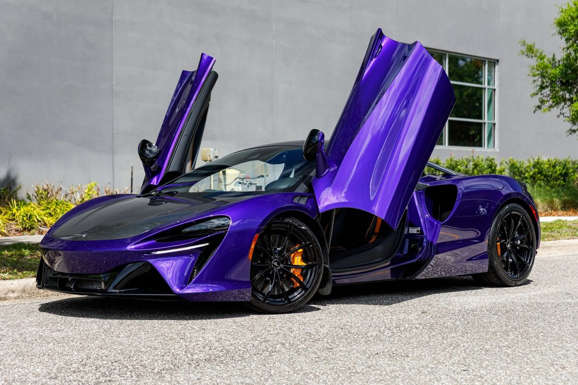 mph014_3590405798_362_p15_l_aeb49f4430