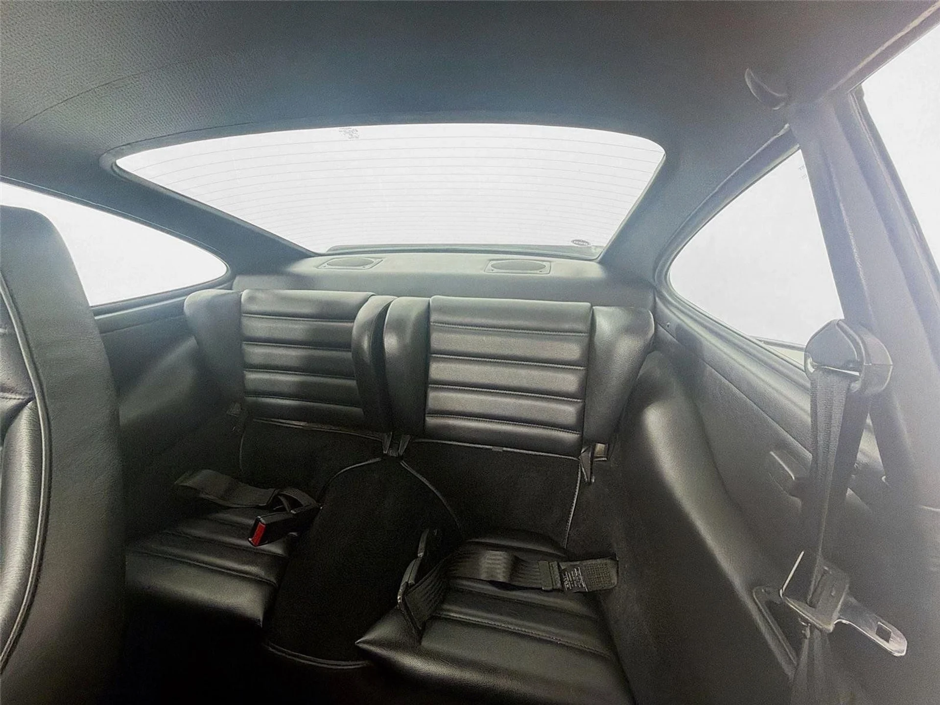 mph014_3593472806_fdb8d1dbcae5f1e901e072e2f090ae89_243e0702cb