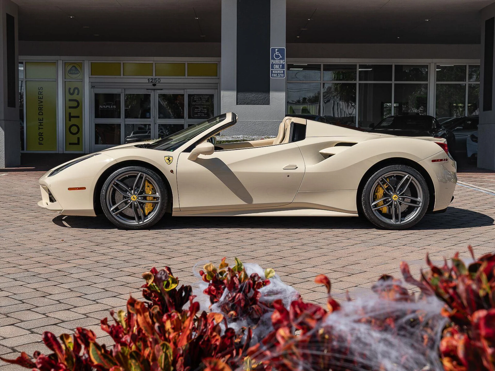 mph014_3618544193_Used_2016_ferrari_488_Spider_2dr_Conv_1785783811_d979e7ab33