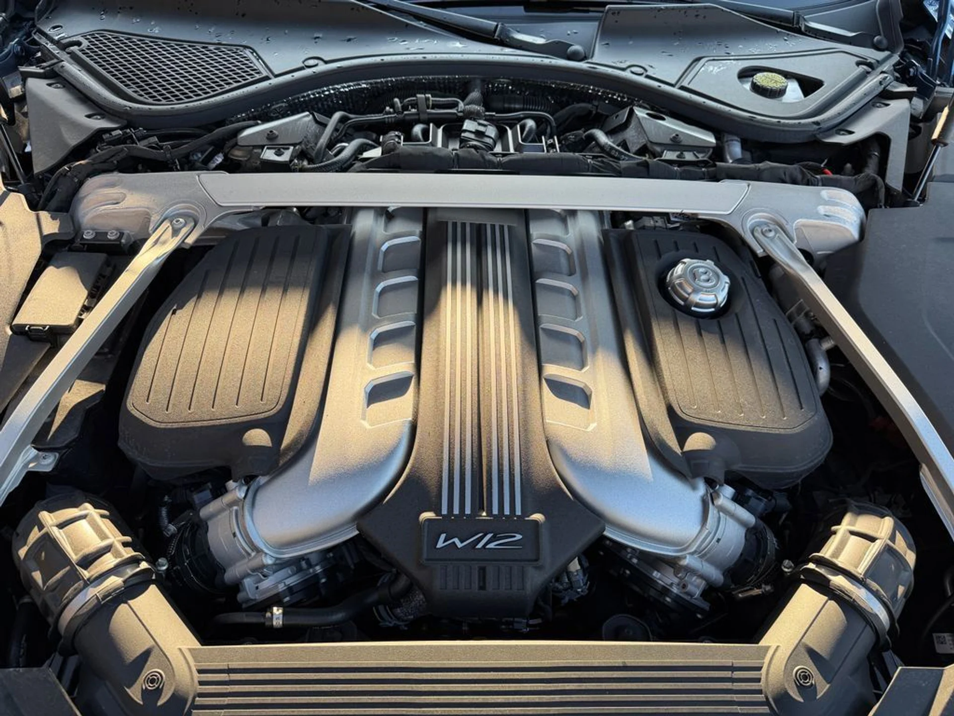 mph014_3681407211_fa1951ea633b4f4c8c210aa689767331_52fa56b737