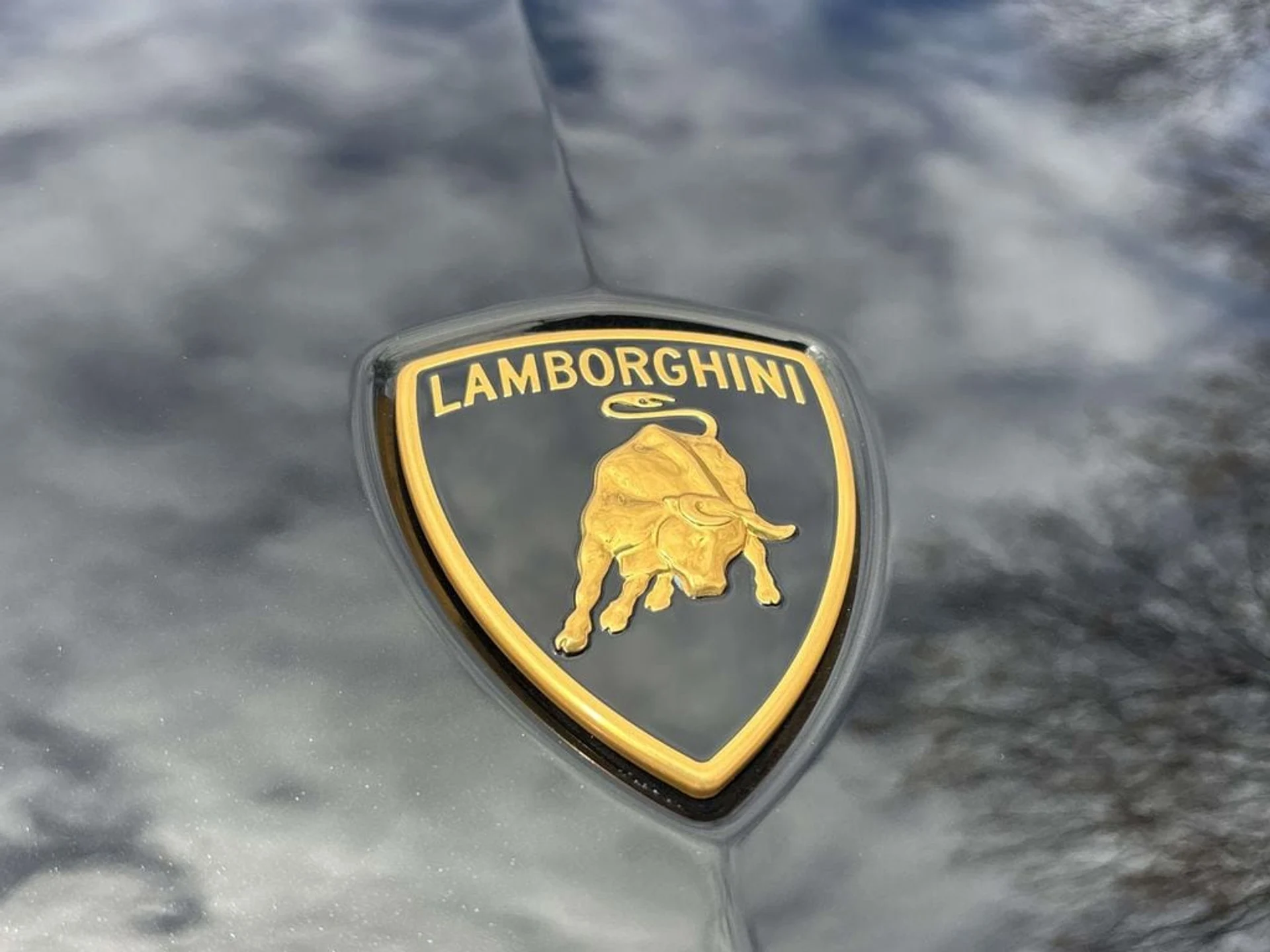 mph014_3724751714_1624939a42a4ed34fc36ea74b2abaa92x_9001dfede3