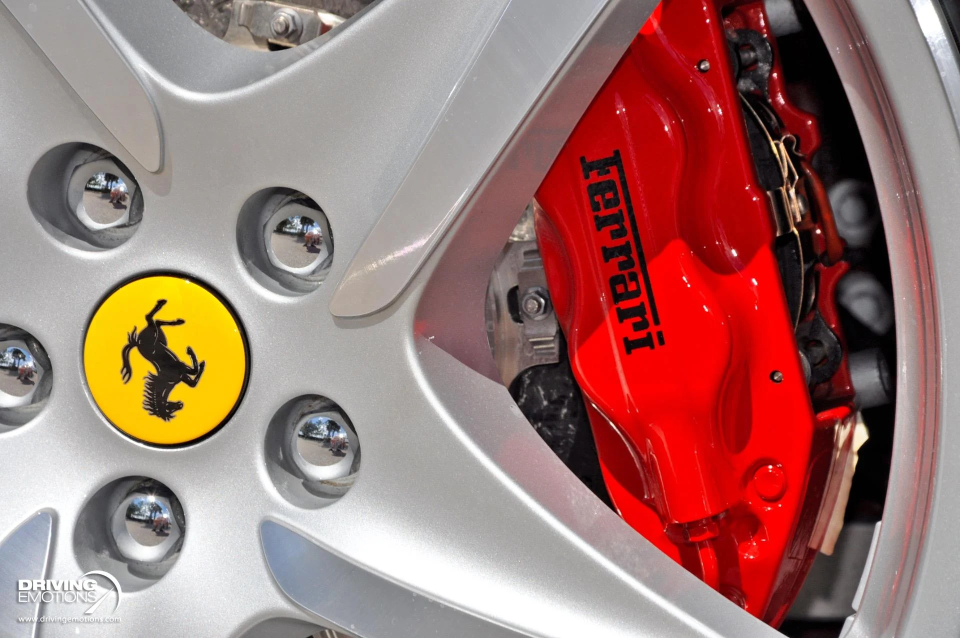 mph014_3744520741_438_p15_l_9e94136f0d