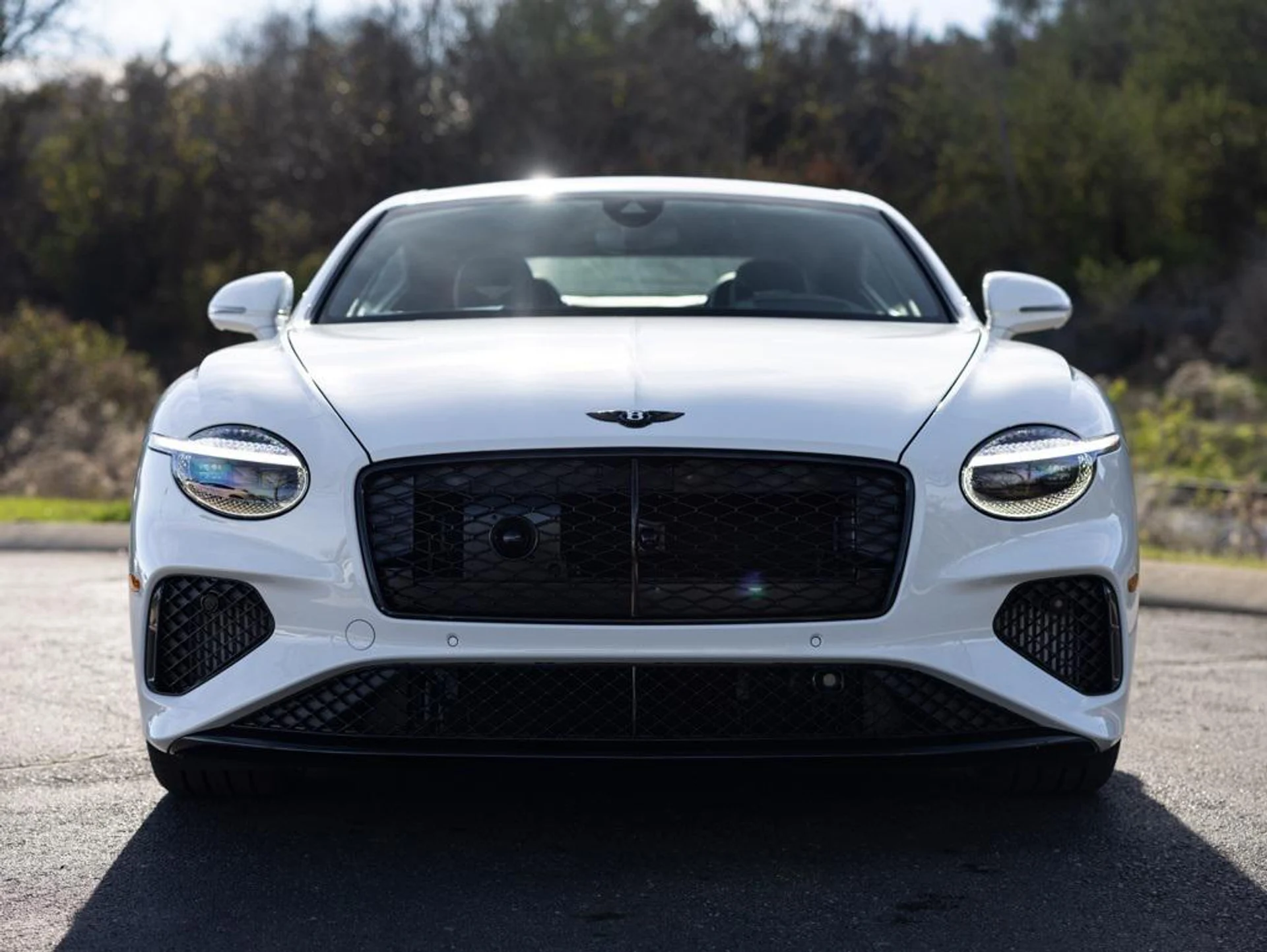 mph014_3755462111_477125128_692b326db578948aa2d41276_e74d5657fd