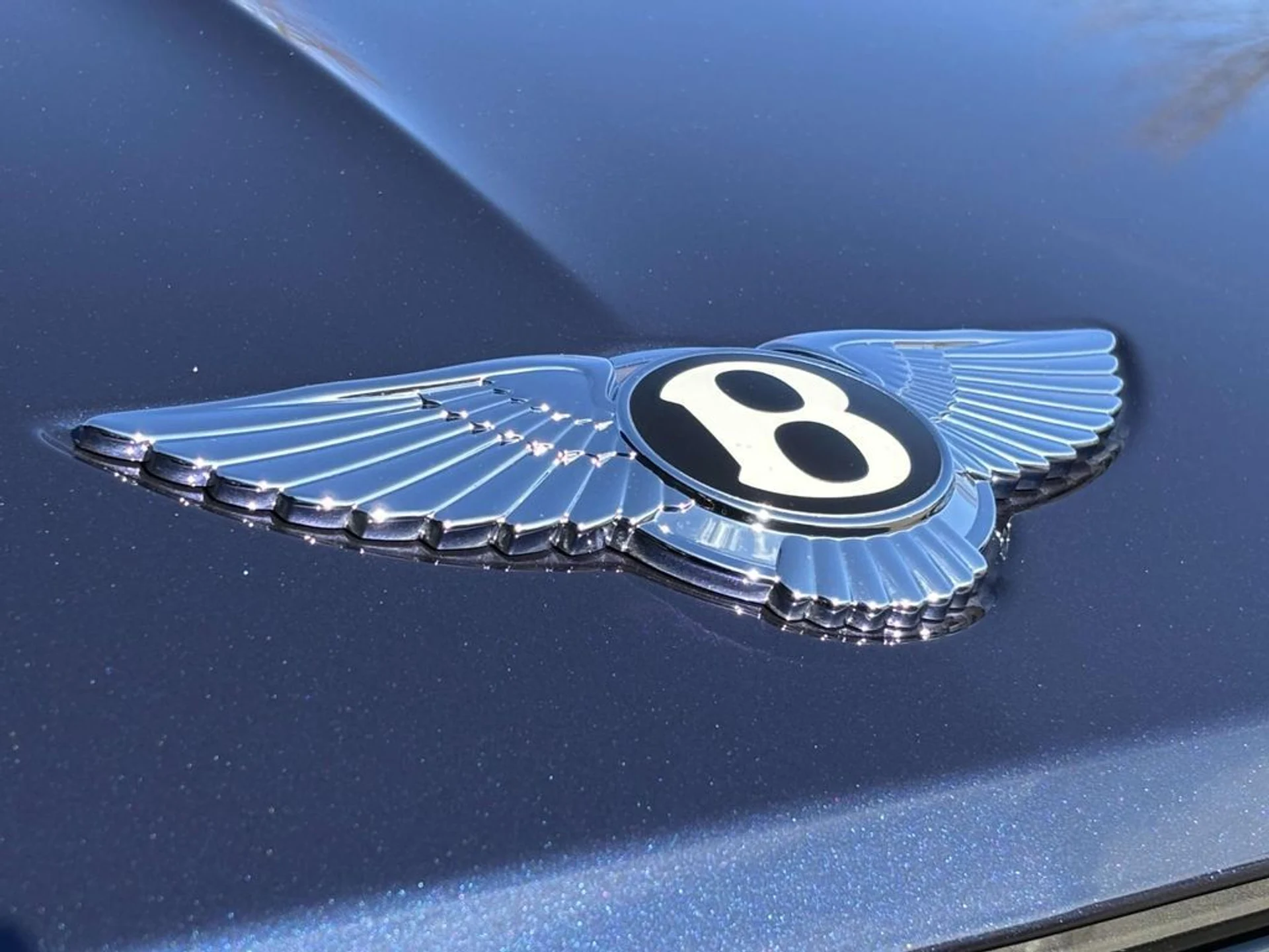 mph014_3964600687_df0a360bb46141c2d13f4a0663dbdddcx_3e2839675c