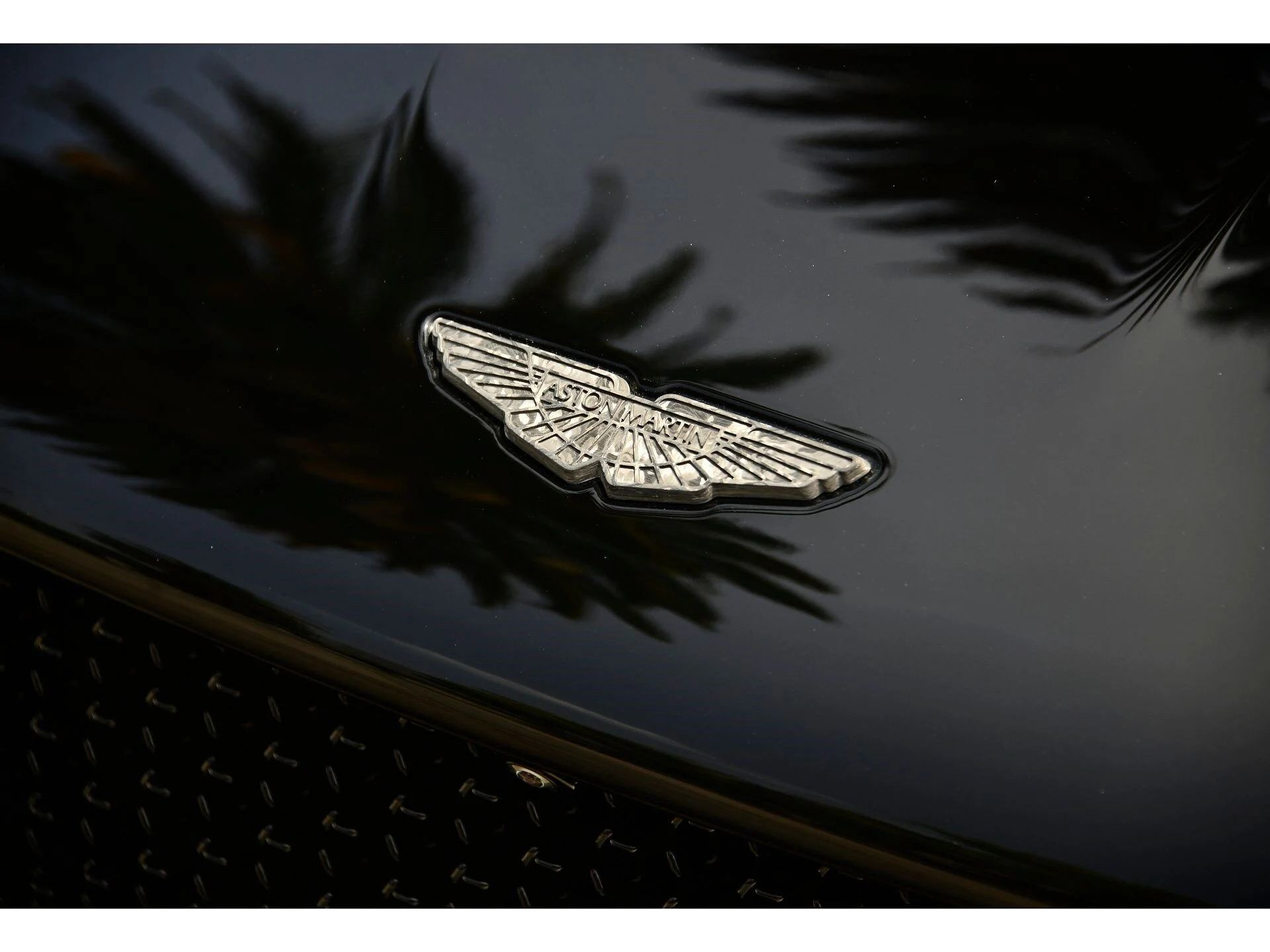 mph014_3971391805_7c4dba03c344071bd30de80c2ec7e1cax_4f8d37be46