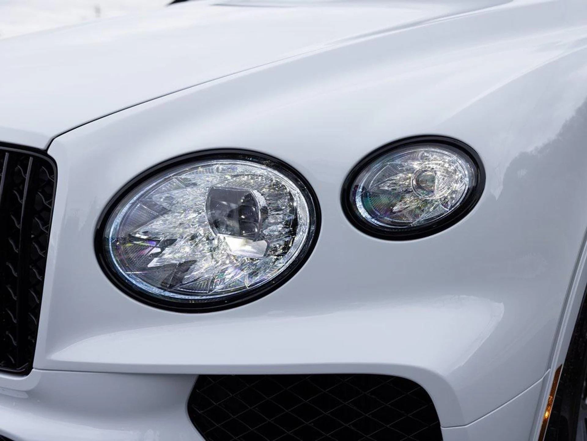 mph014_3996828619_403809831_67c233e26b5617b02de63634_7dd1ccdbf3