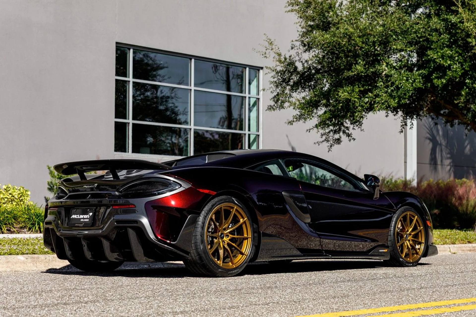 mph014_4019058192_615_p15_l_e3a5051755