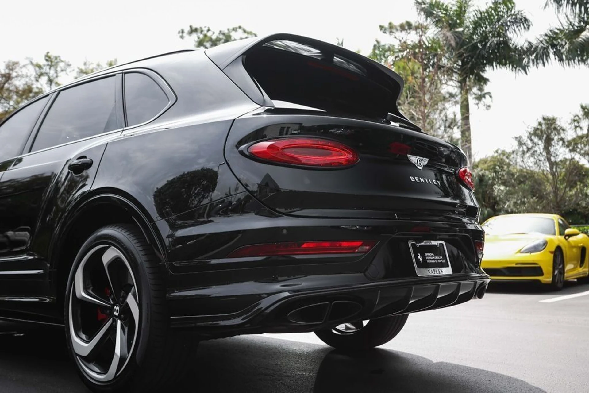 mph014_4138030509_514efc7a1eb7f561815cb6e9fae01877_85dedacdc2