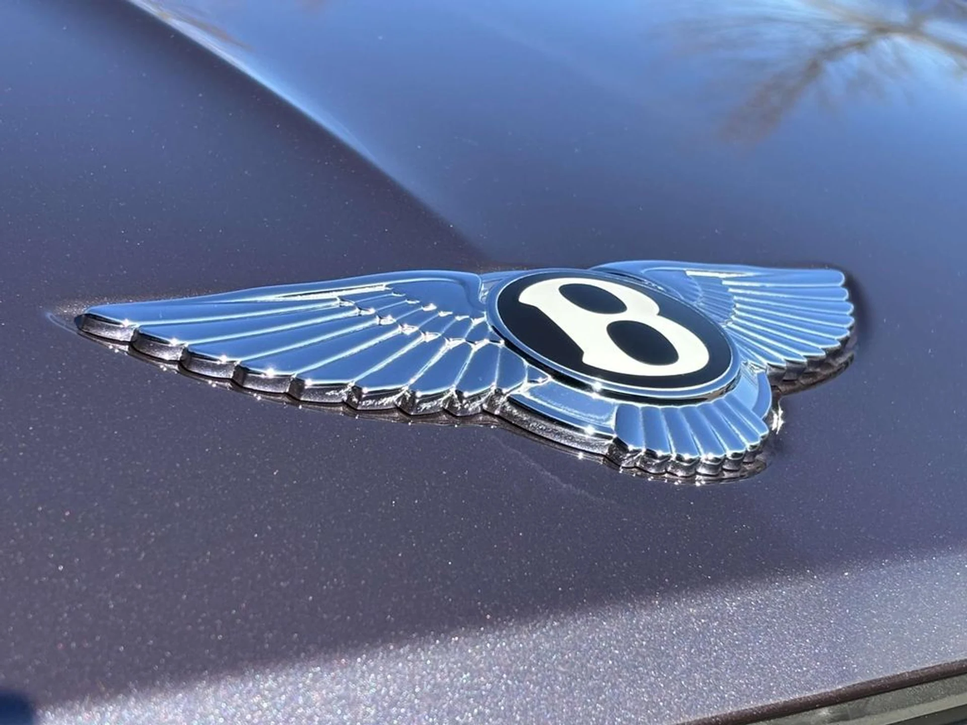 mph014_4200487758_8a50f5ec1b3f1797db0acb565f68edb7x_37fd5a56b7