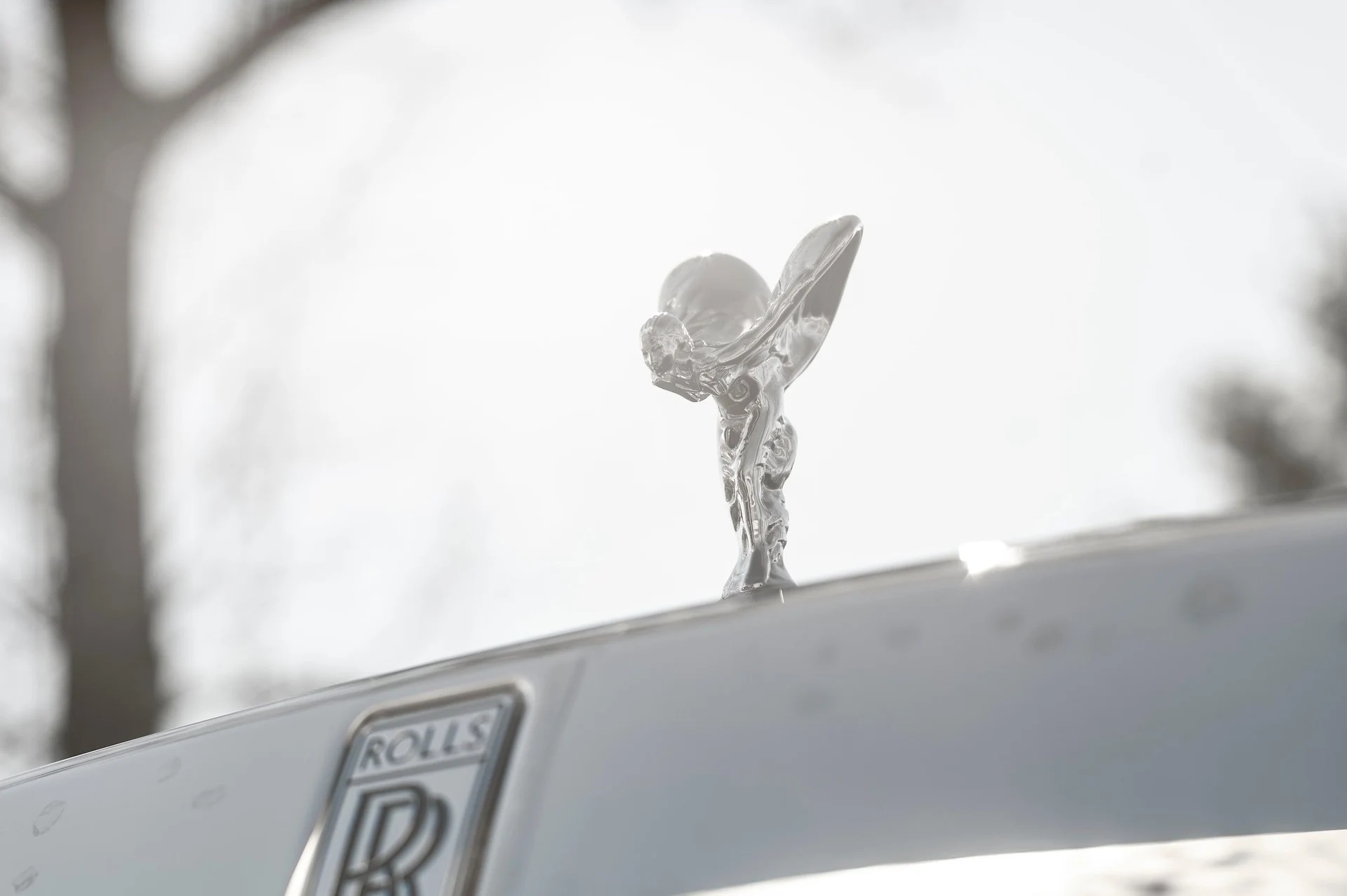 mph014_4258789628_cd8cde93161840938a1185166ad8a00a_6546df0882