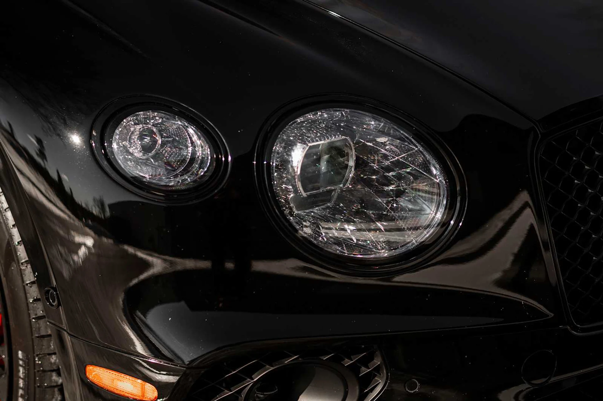 mph014_485291712_fdff15b80dcf0509dce5387befa0a484x_7232860d09