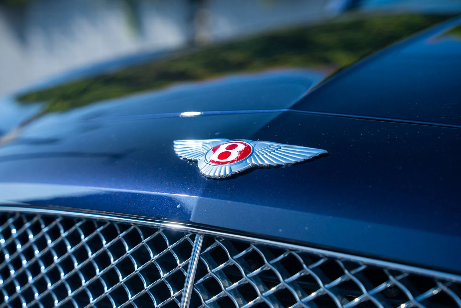 mph014_55264799_Used_2016_Bentley_Continental_GT_V8_1762542267_de082a6b2f