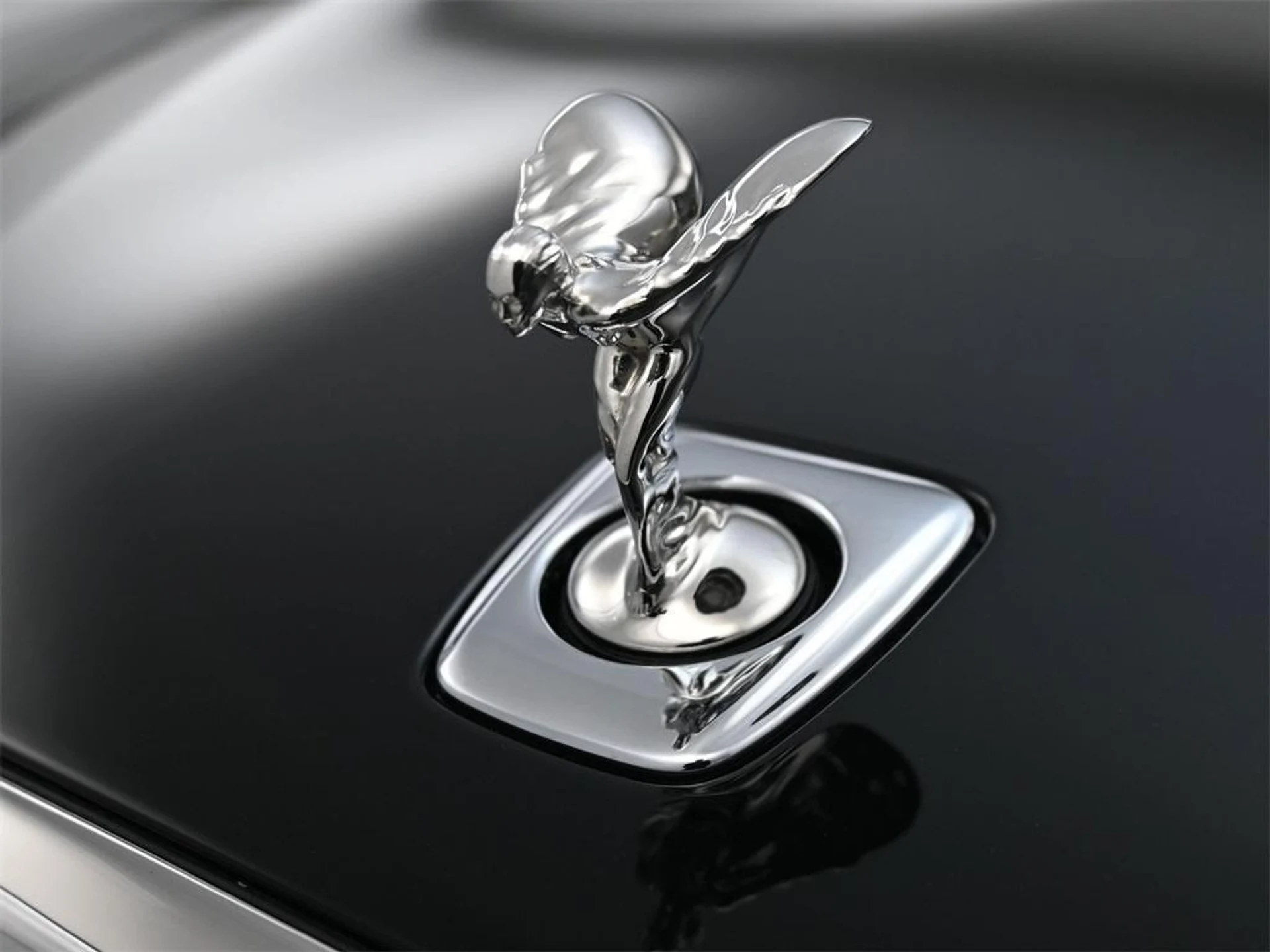 mph014_710914693_px11zqjp_P_6k_Y_WMSYJ_Hmcu_jy_M_cd83d358fc