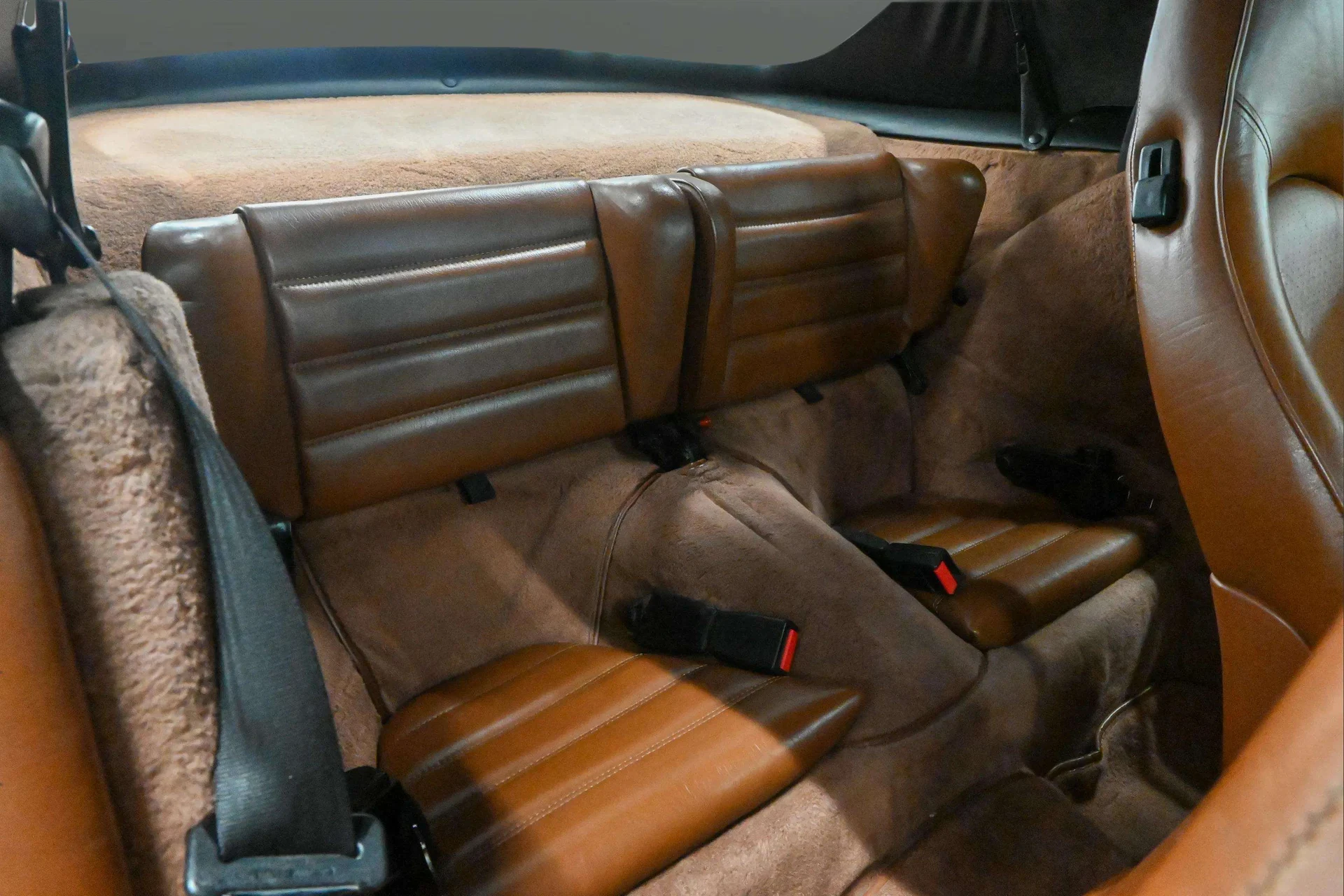 mph014_867917142_a67b20e0_6c4c_470a_bfb4_8737f2e5556f_60fe709b6f