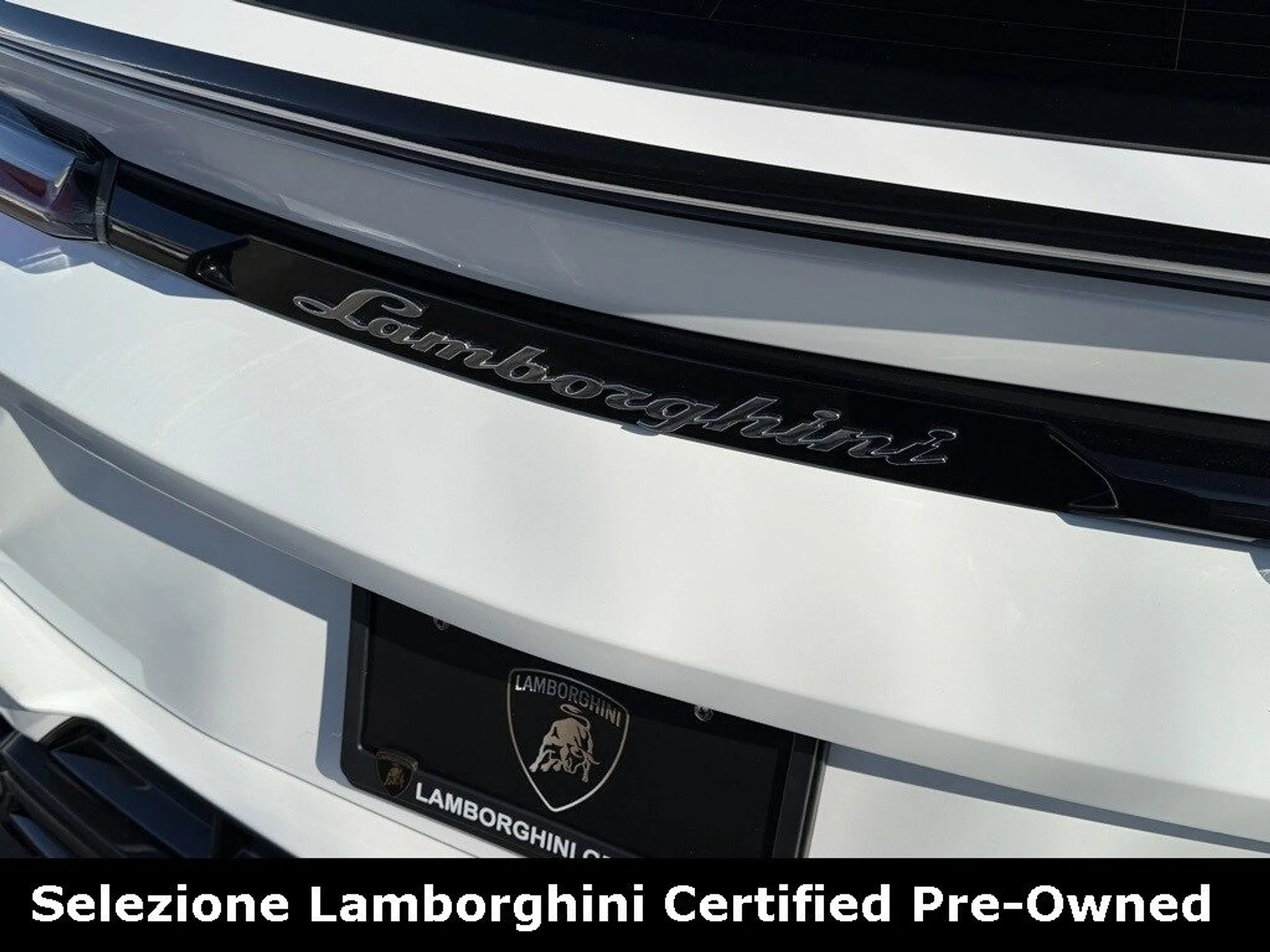 mph014_922727203_83ca61e62126d596784aa2825985021ex_98b99ebd37