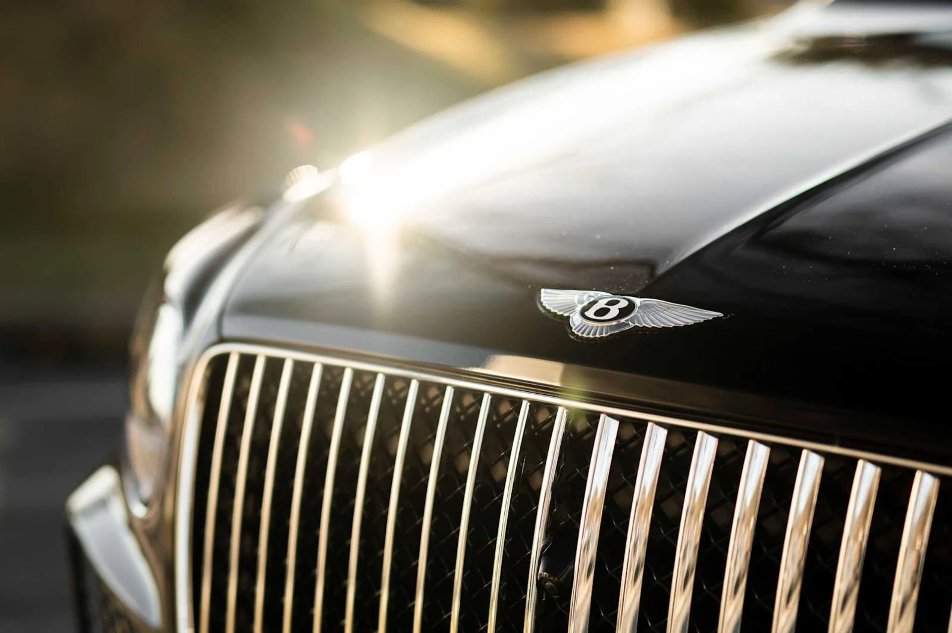 mph014_97001615_5f8c73177ab0a6a637dec512cd08a34ex_192656e2bc